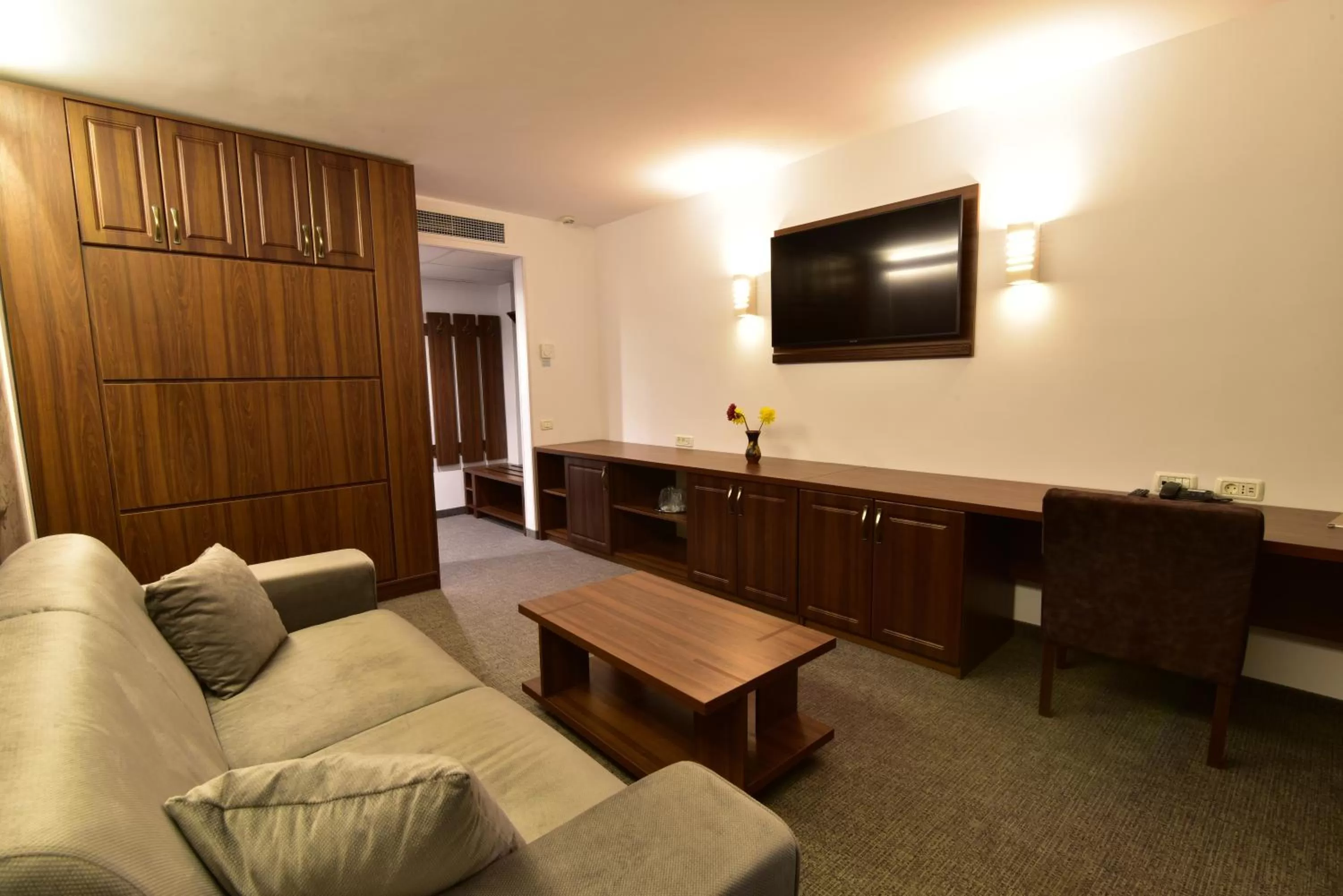 TV/Entertainment Center in Hotel Forum