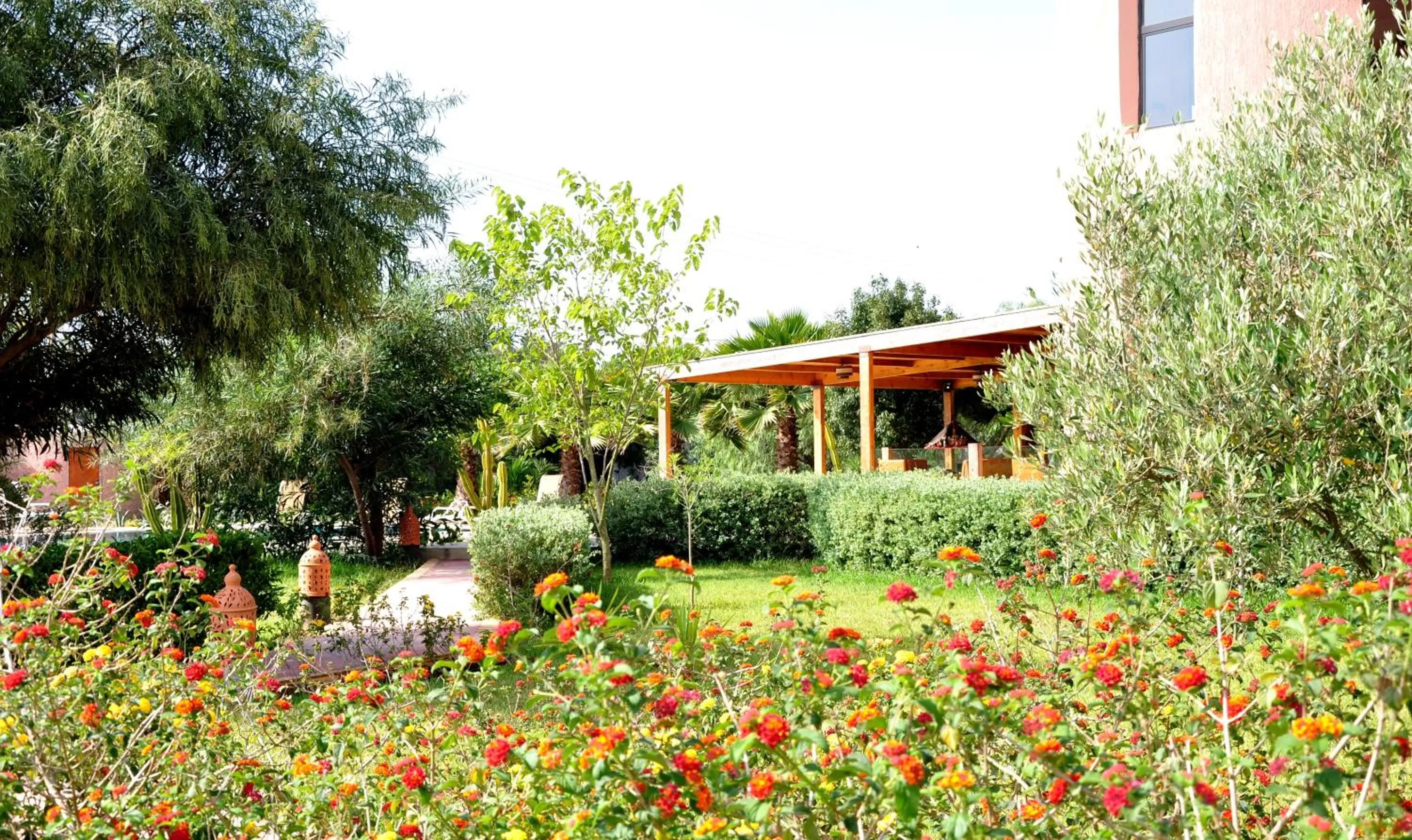 Patio, Garden in Riad Hamdani