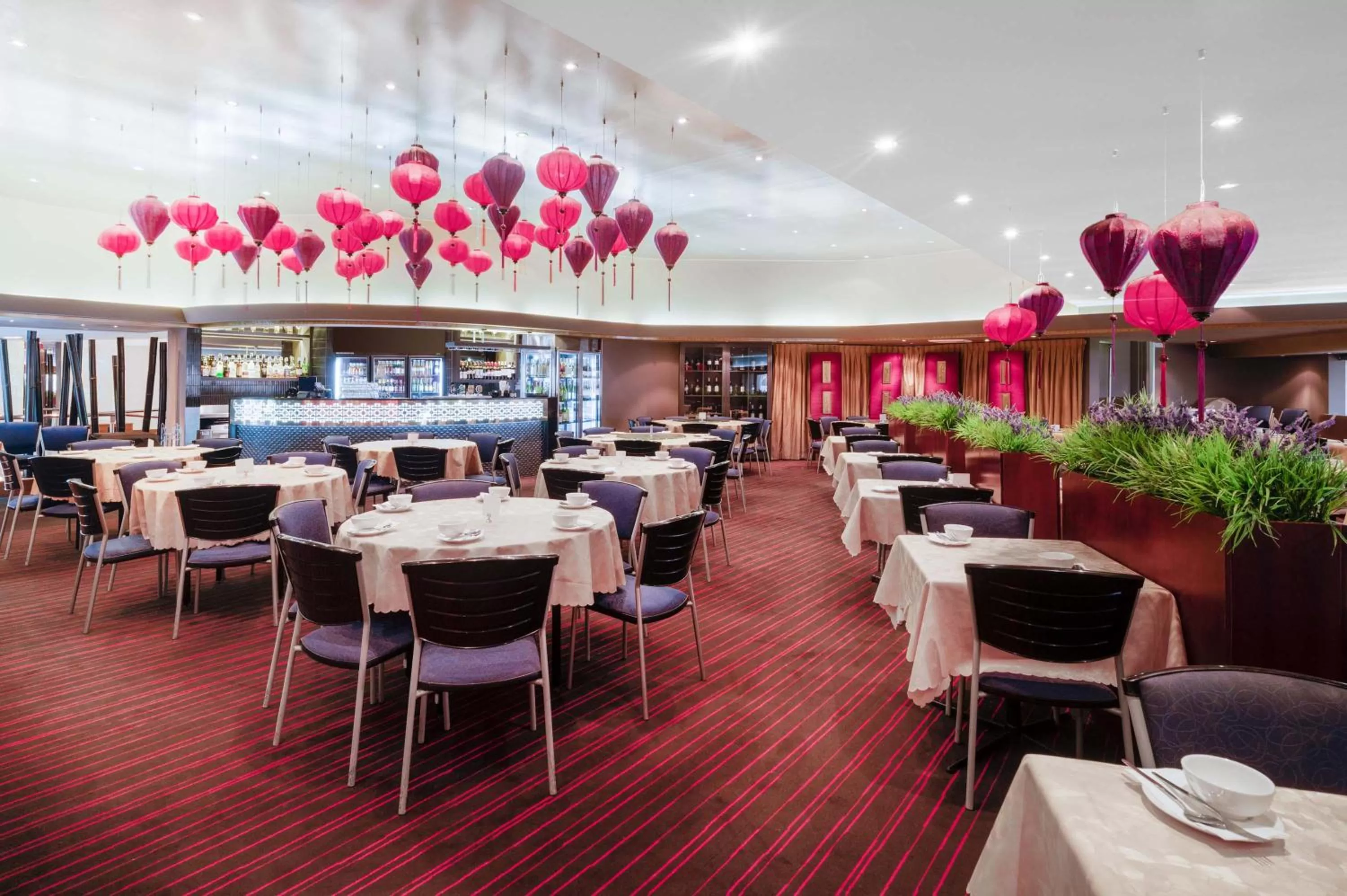 Restaurant/places to eat in The Sebel Twin Towns