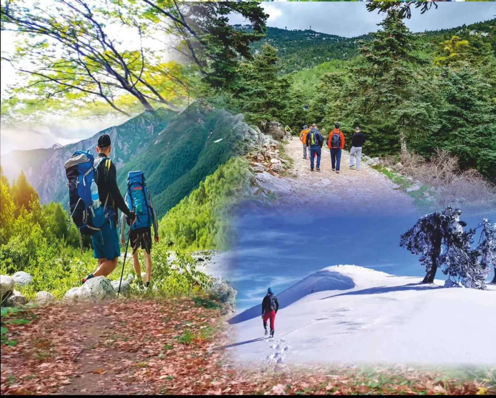 Activities in Hotel Christina - Happy Days