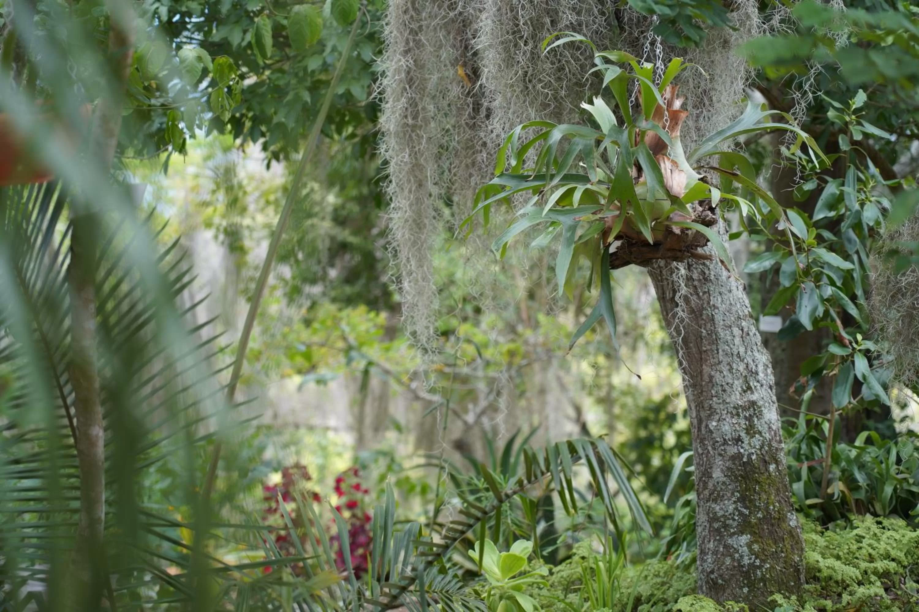 Natural landscape in Posada Finca San Vicente B&B