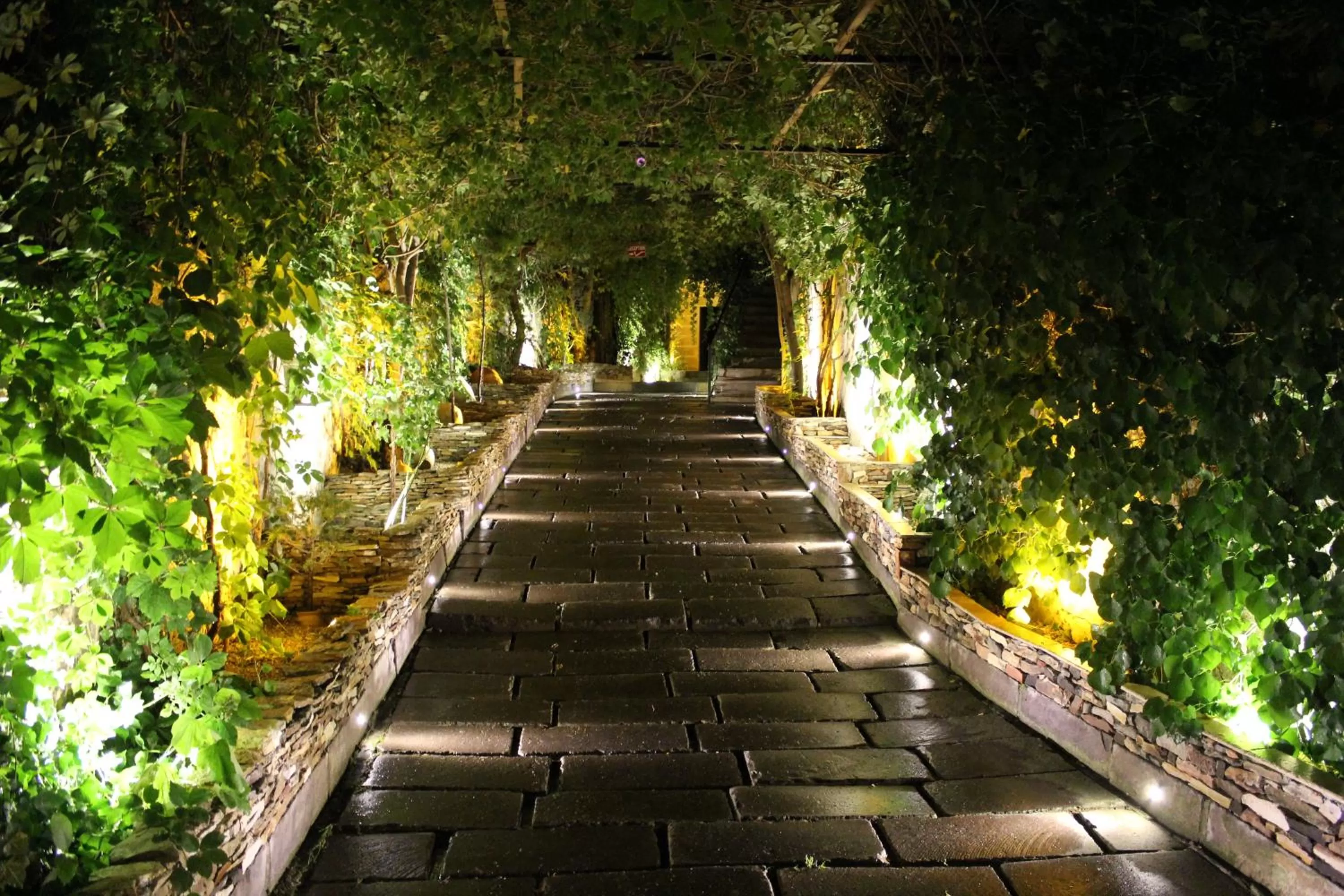 Facade/entrance in Local Cave House
