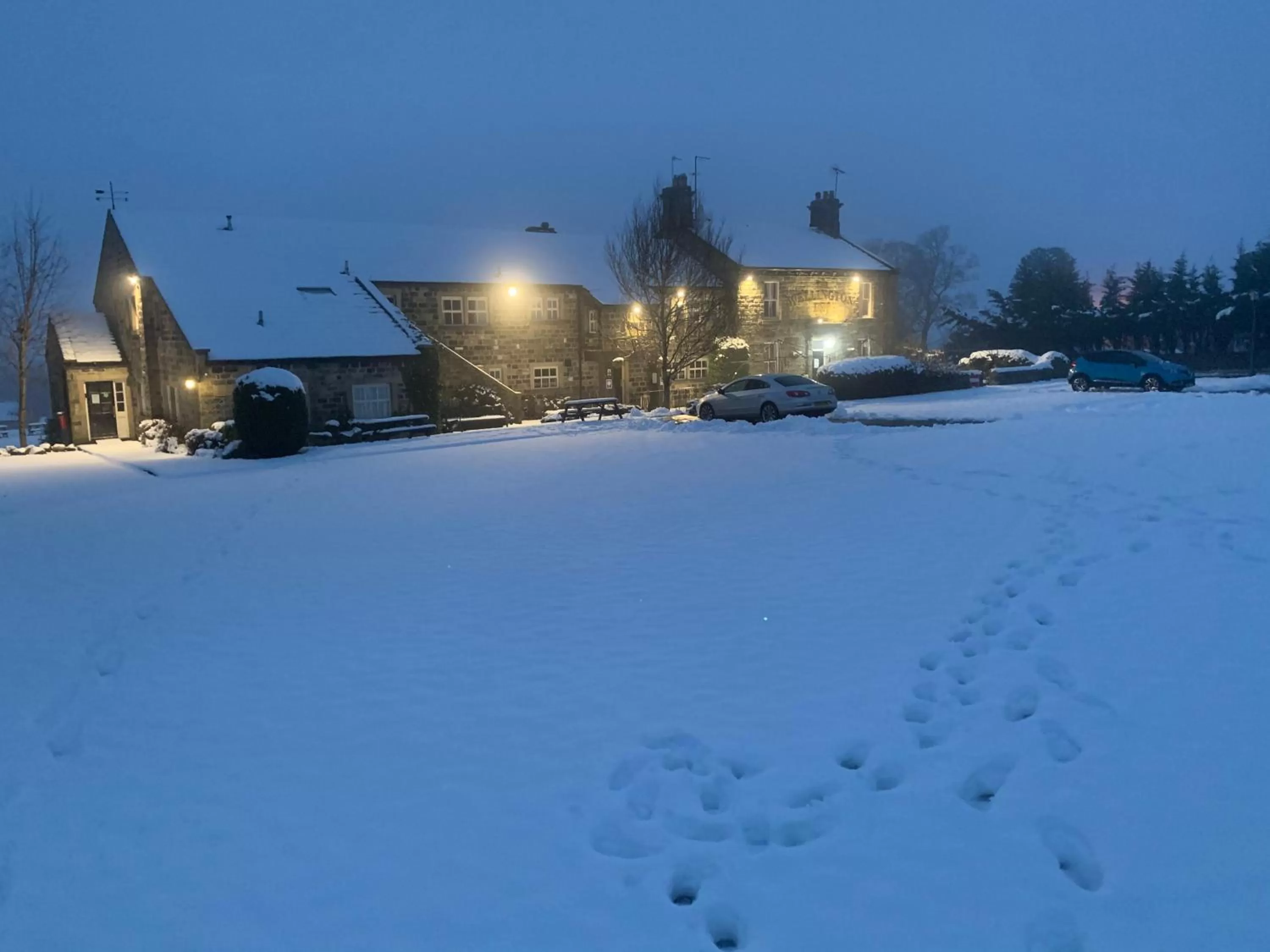 Garden in Wellington Inn