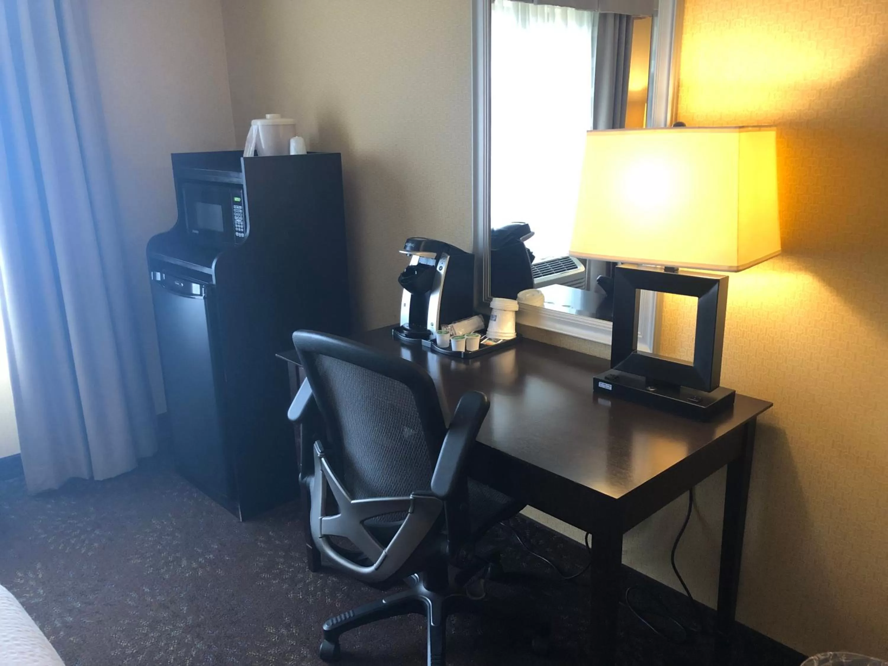 hair dresser in Holiday Inn Express Hotel & Suites Lansing-Dimondale by IHG