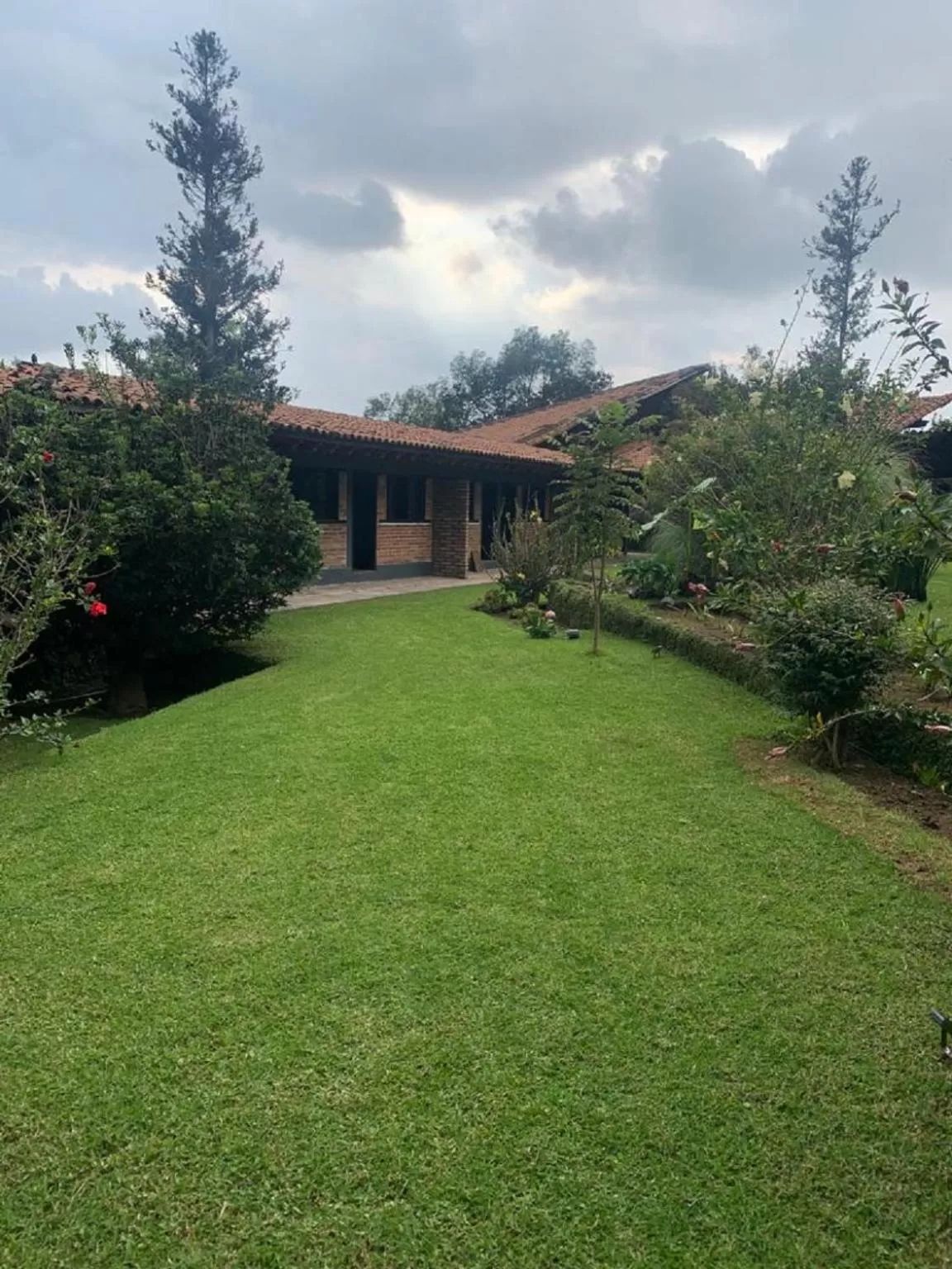 Garden in San José Del Valle