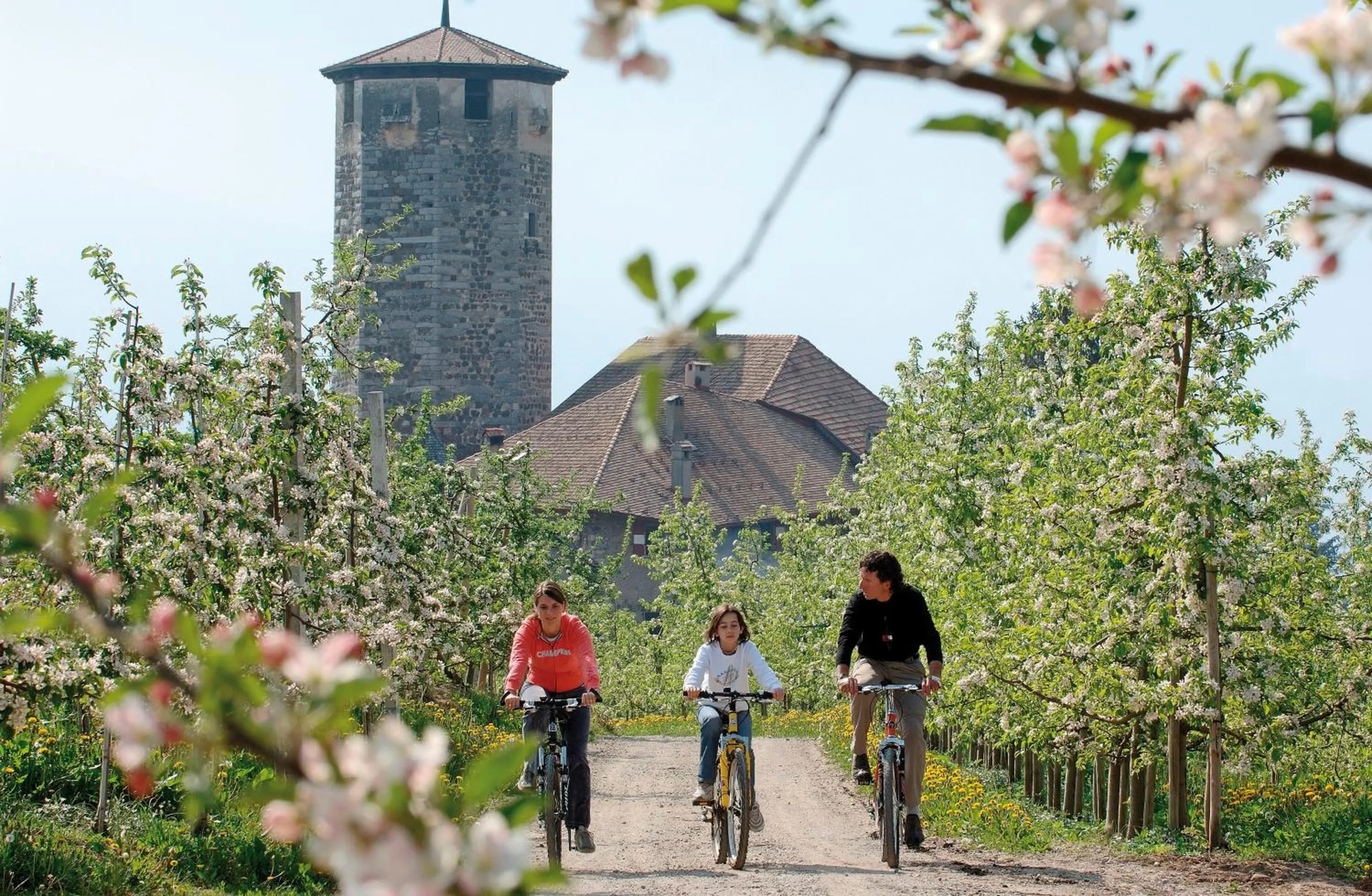Area and facilities in Albergo Tuenno