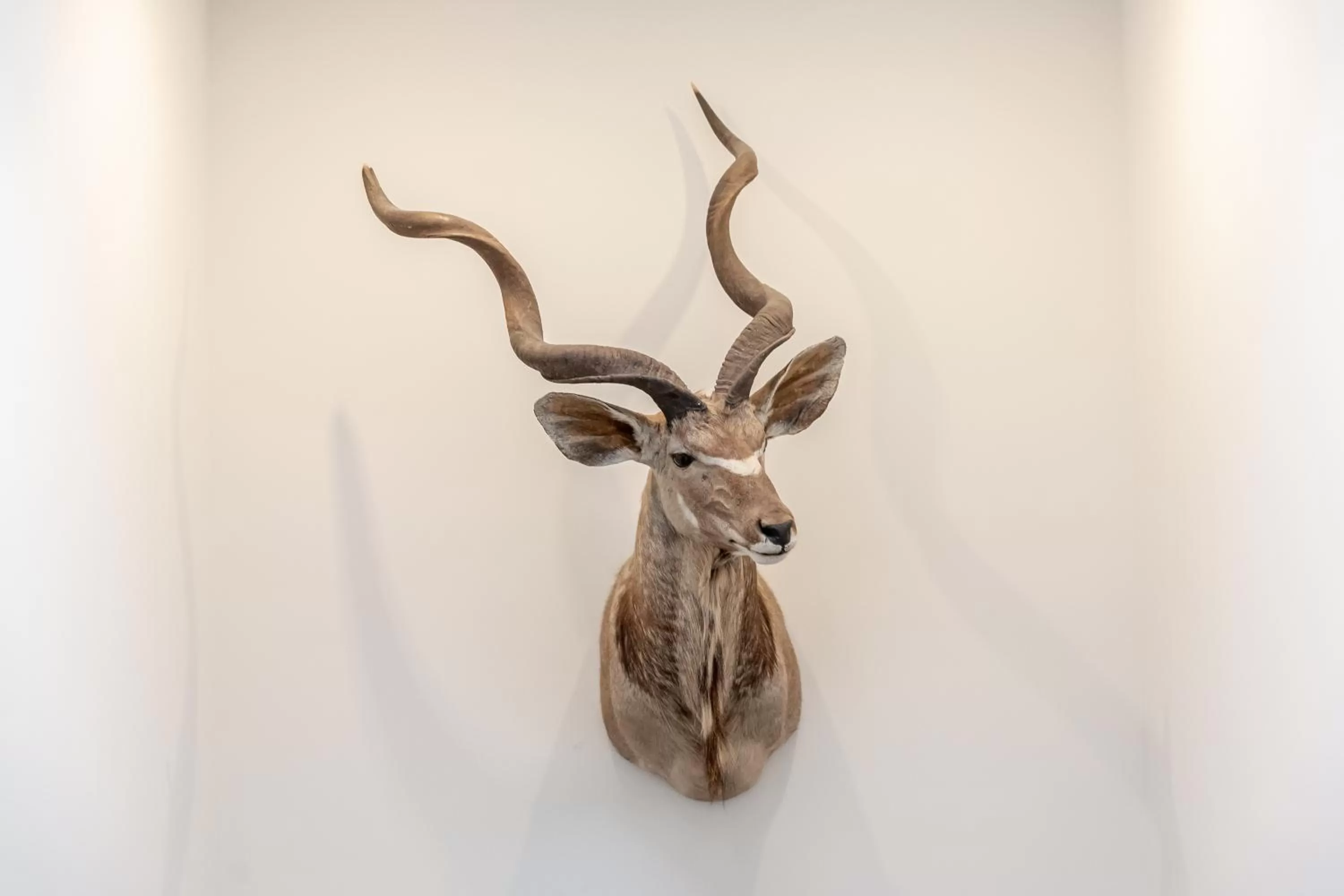 Other in Parkhotel FRITZ am Brunnen