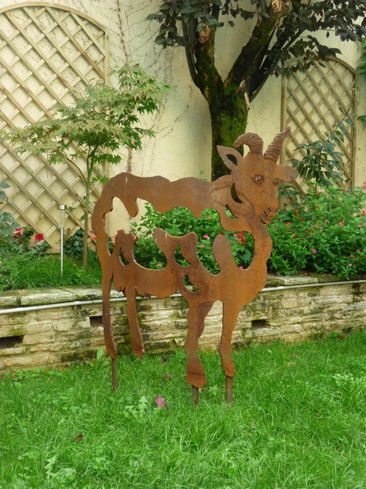 Garden in Hotel de France