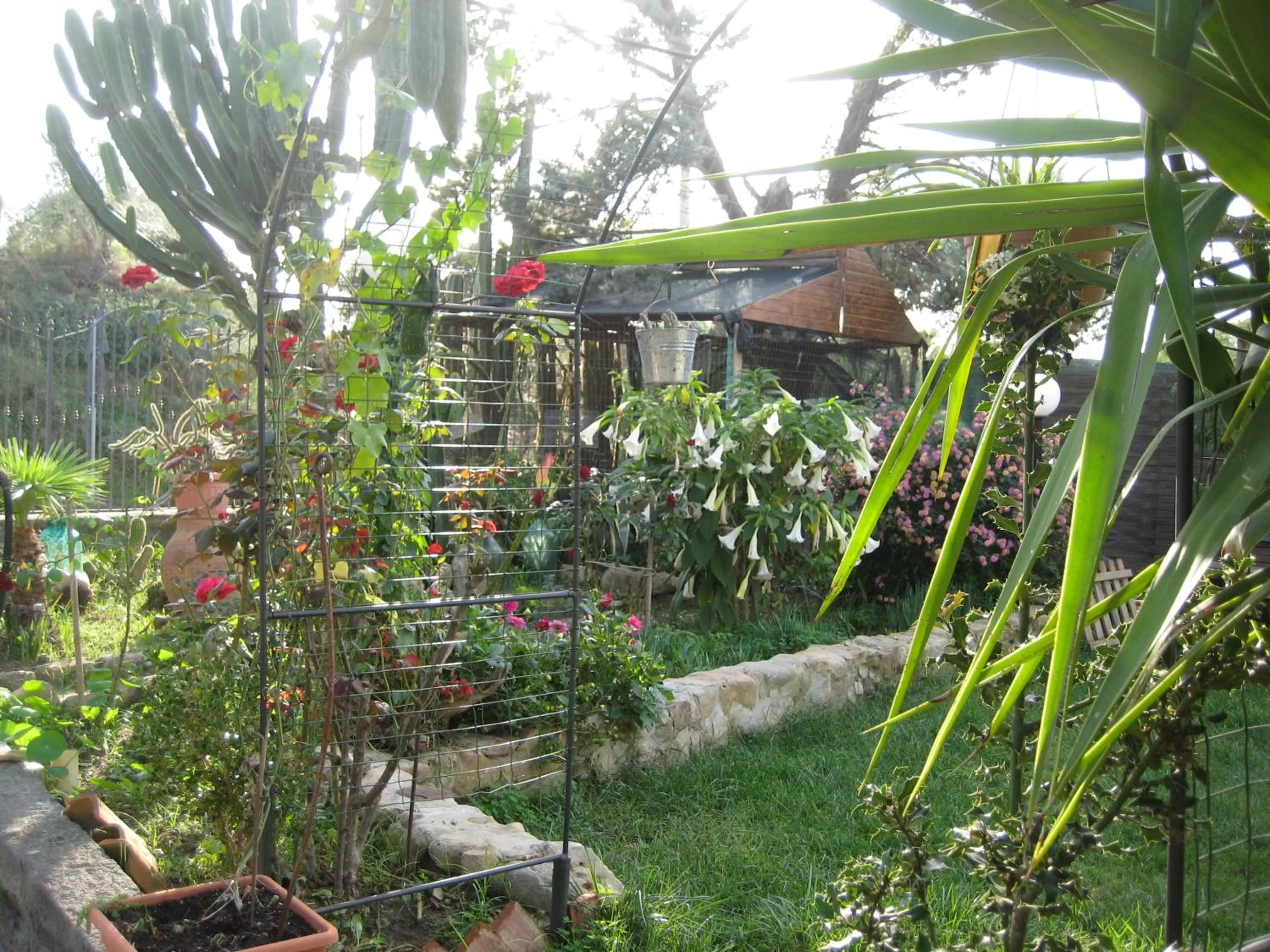 Garden in Oasi del Lago