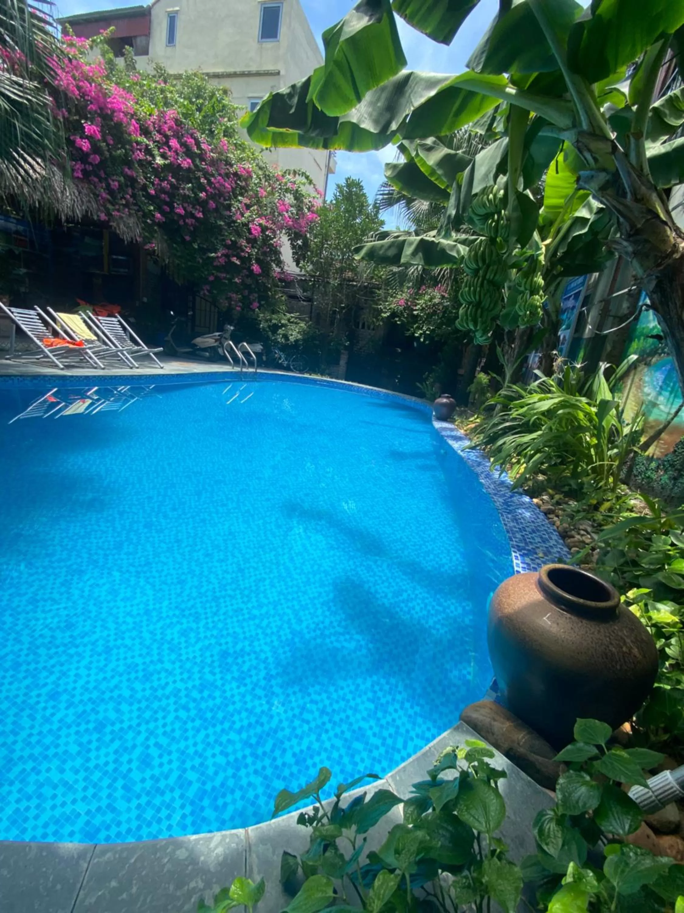 Day in Tam Coc Full House Homestay