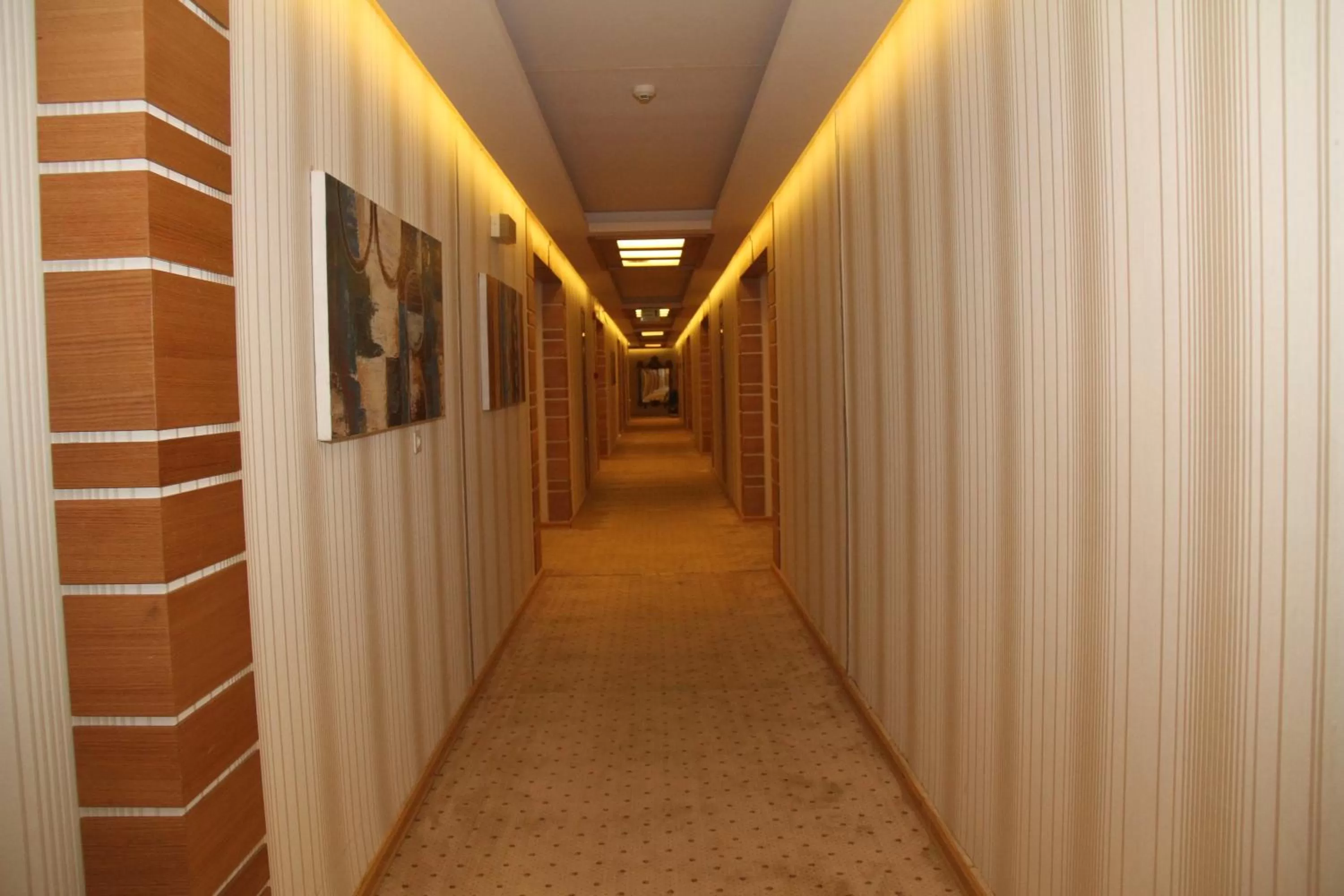 Patio, Spa/Wellness in Saleem Afandi Hotel