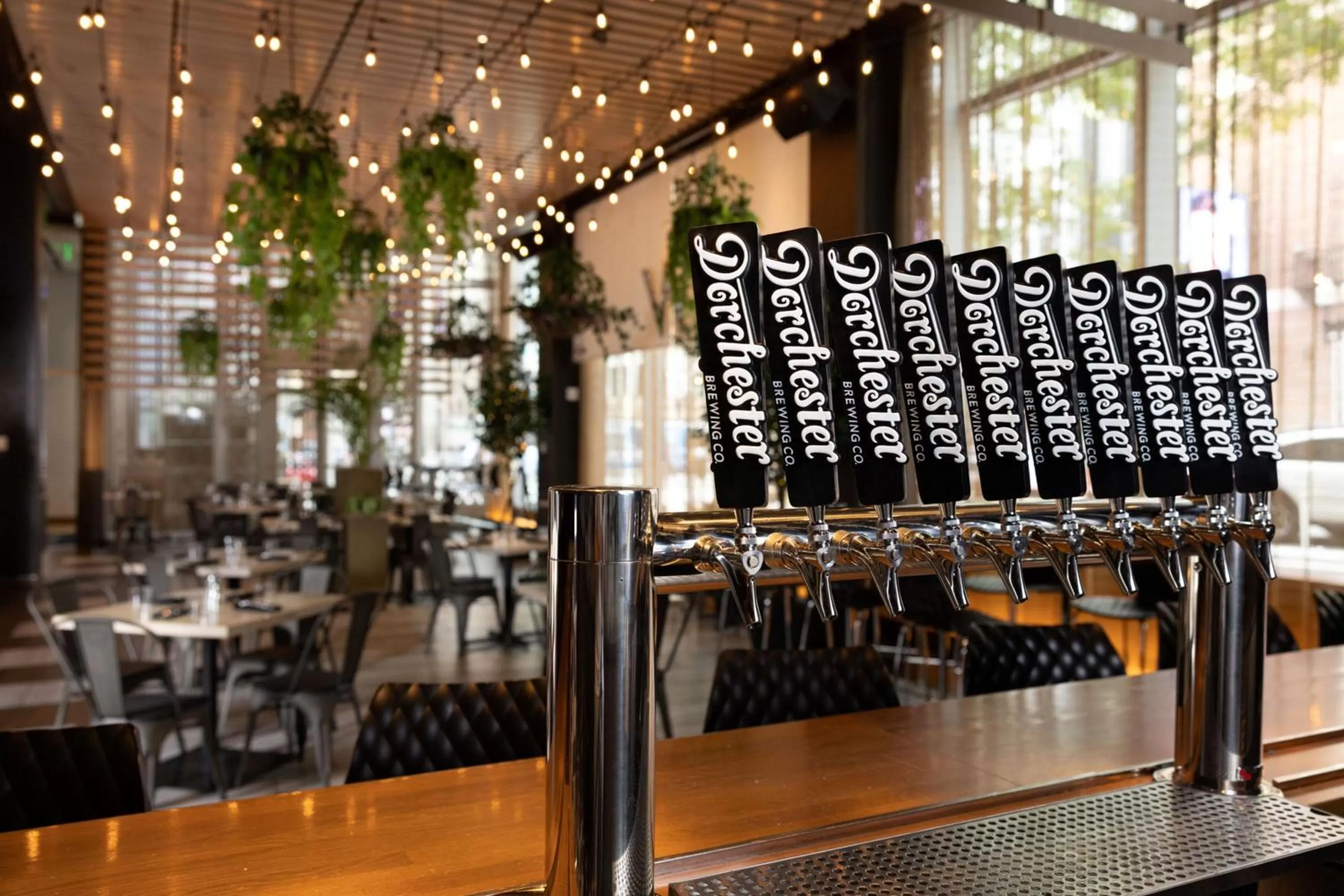 Restaurant/places to eat in W Boston