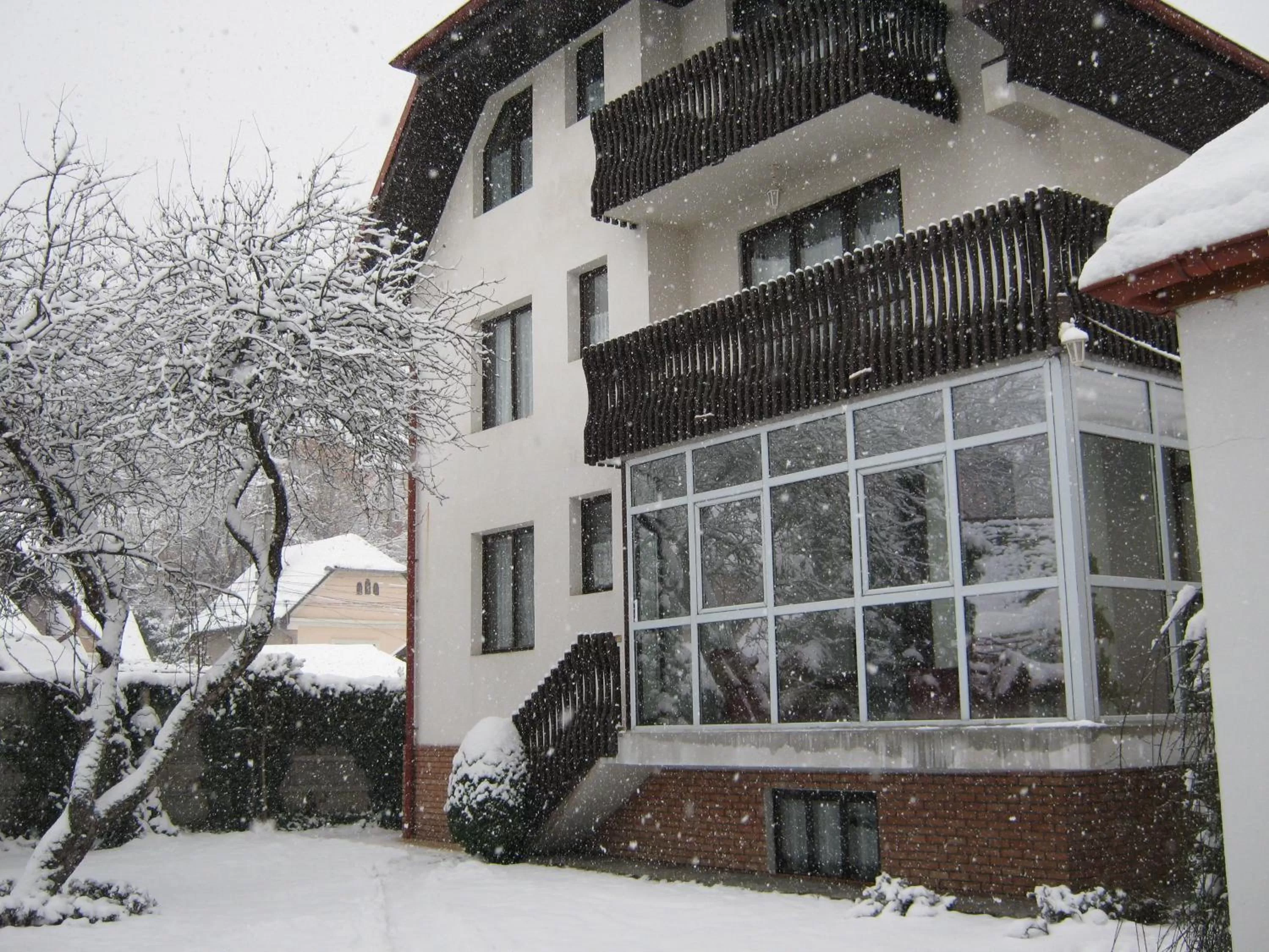 Property building, Winter in Csaki Vendeghaz