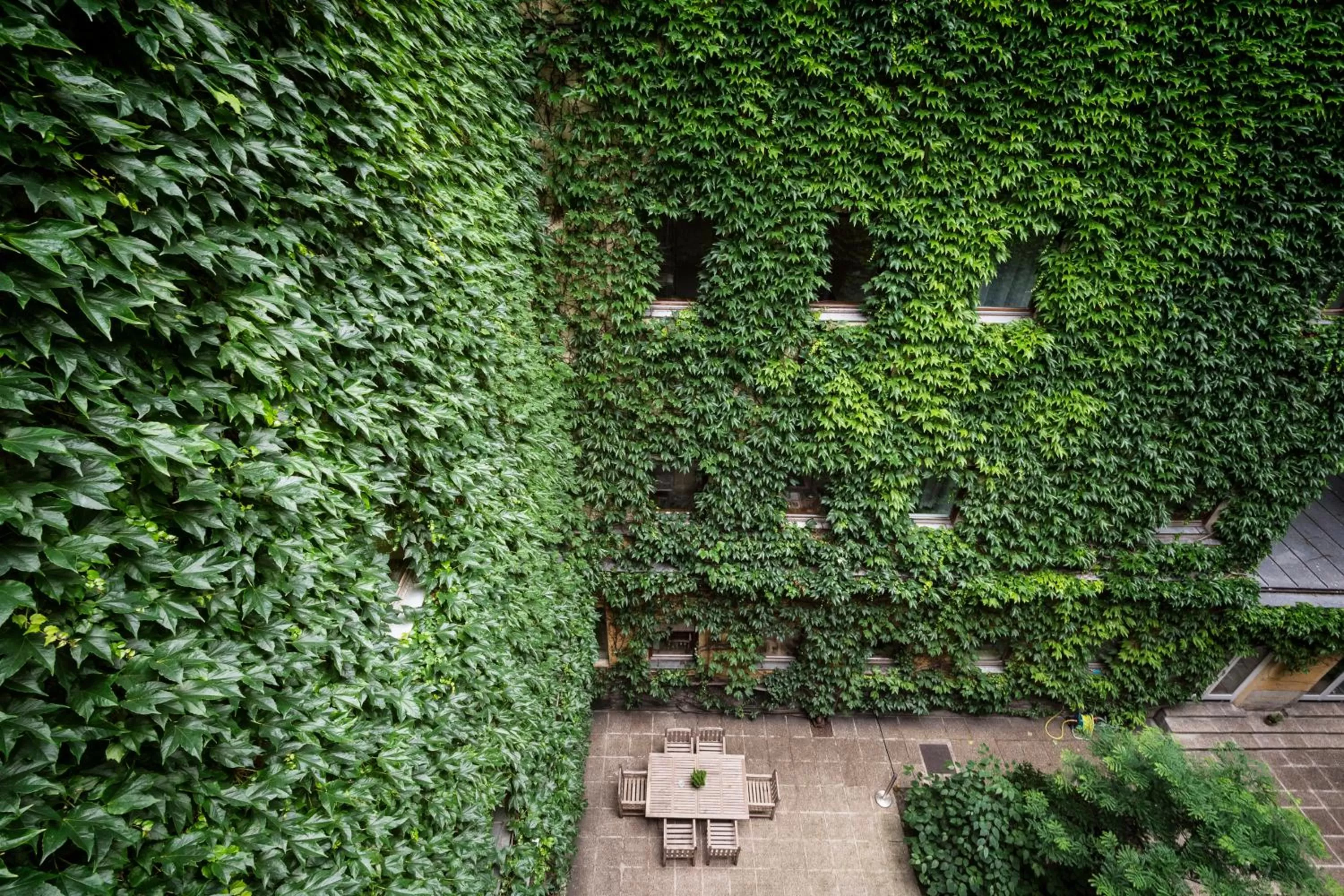 Patio in Hotel Kunsthof