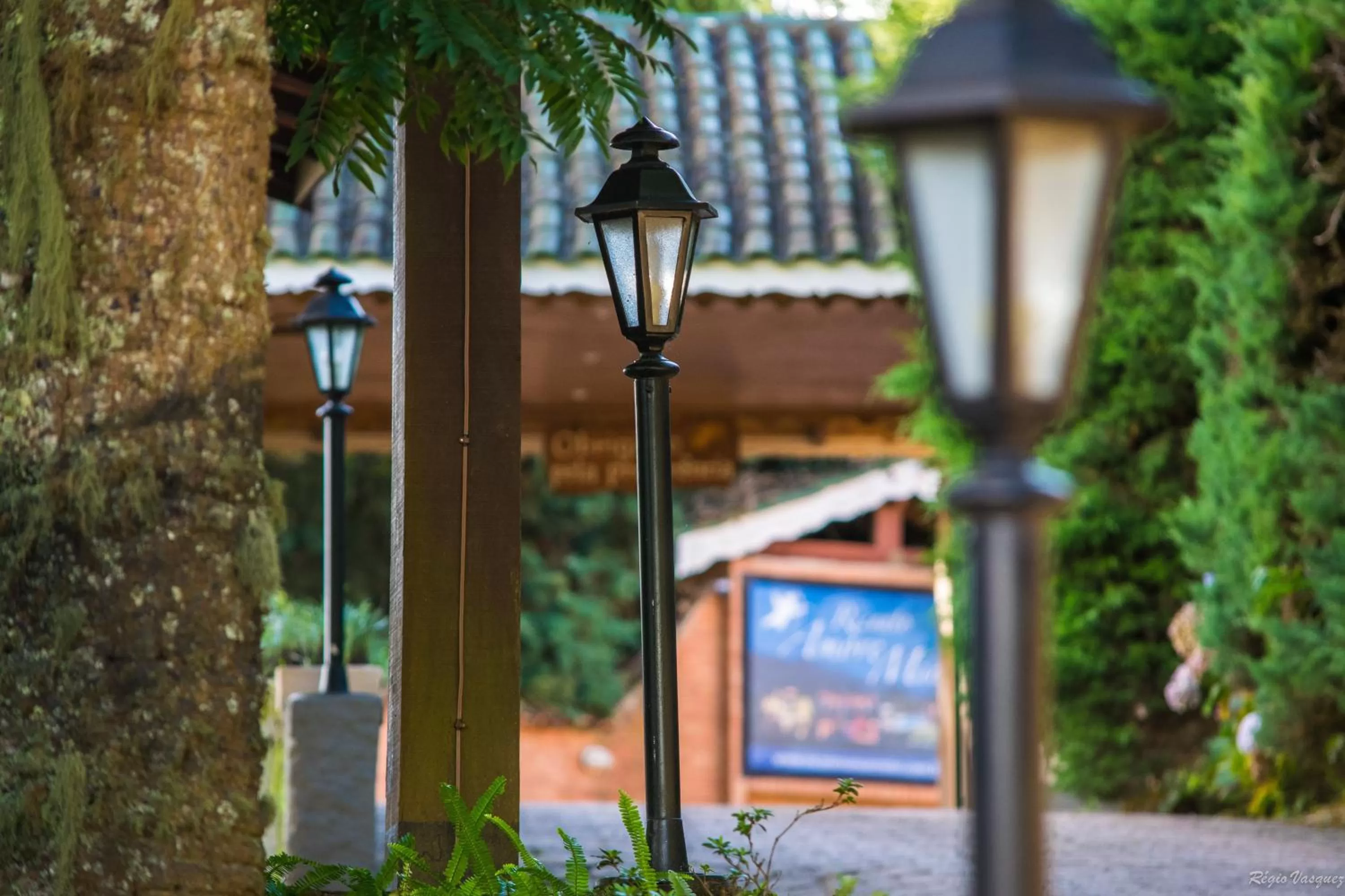 Garden in Pousada Ricanto Amore Mio