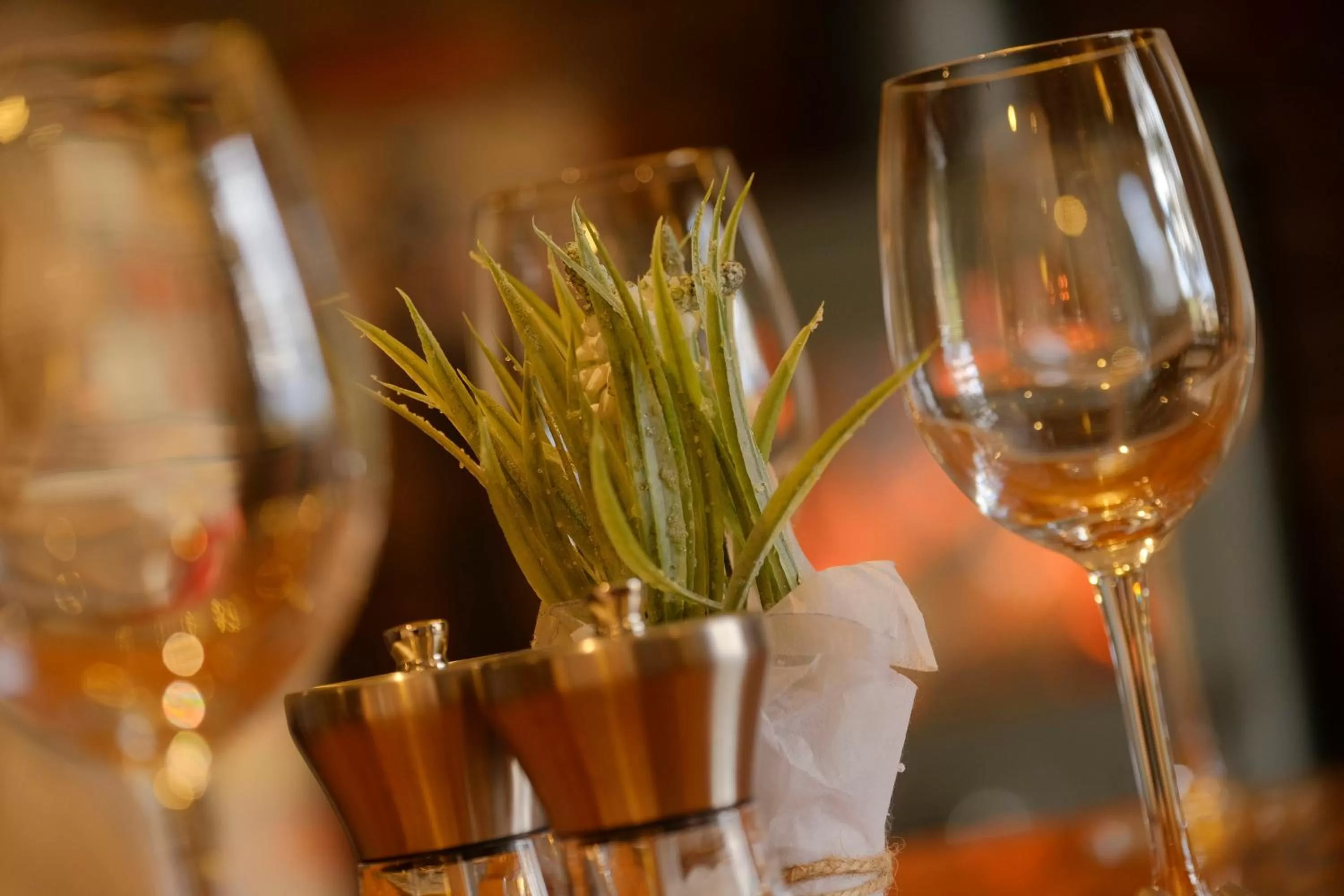 Food and drinks in The Saracens Head