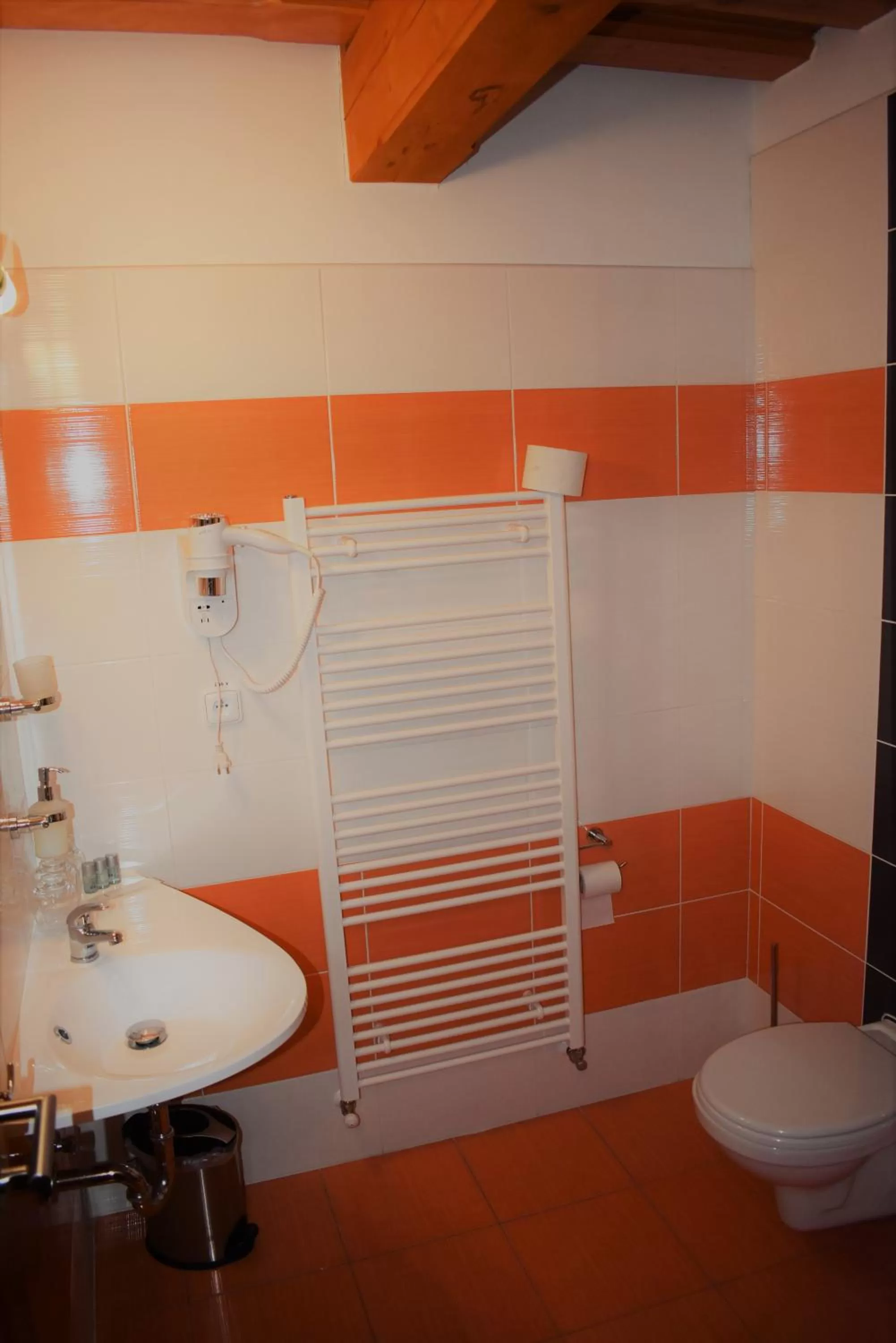Bathroom in Motel Roubenka