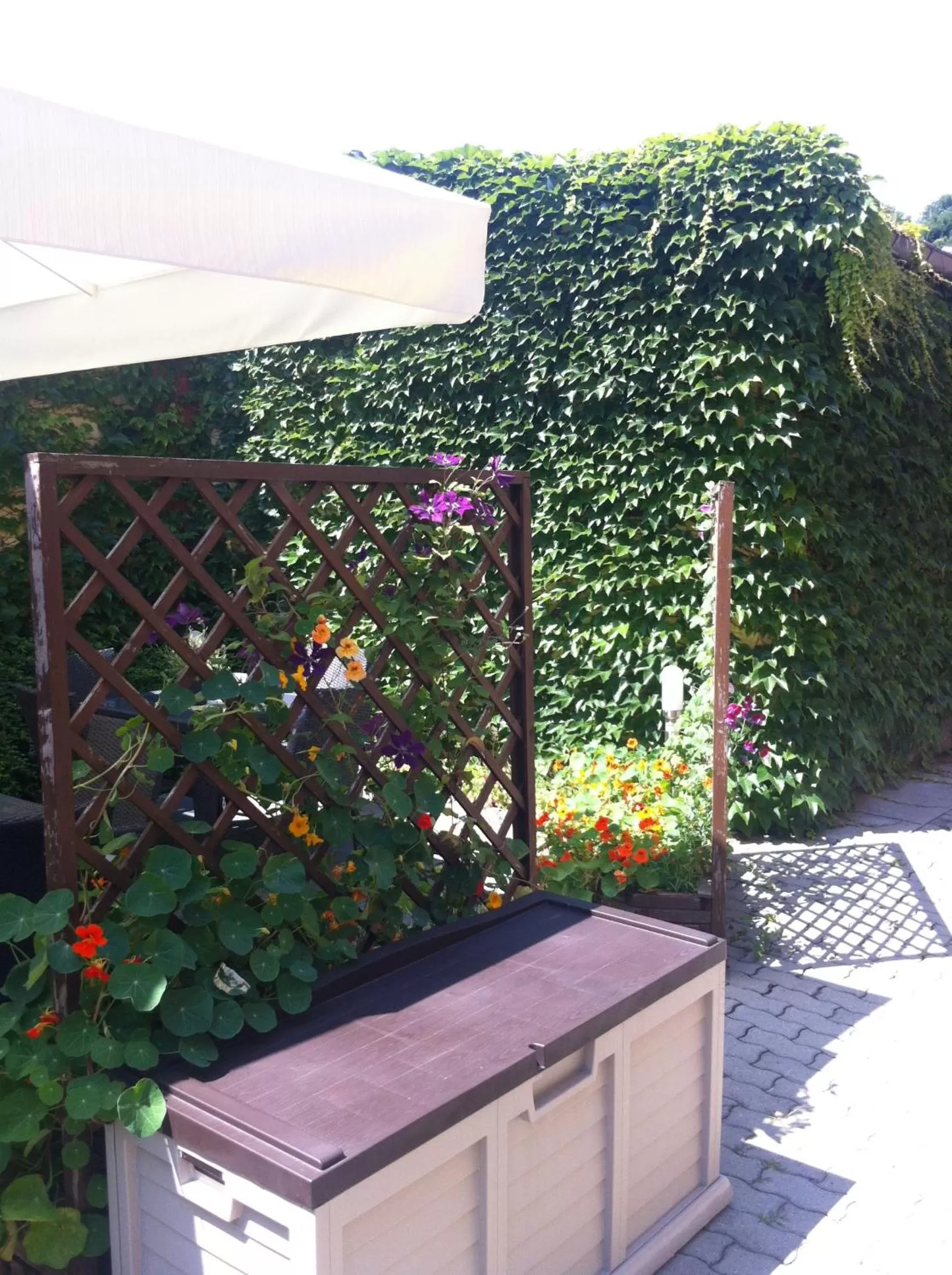 Decorative detail, Balcony/Terrace in An der Porzellan-Manufaktur Pension