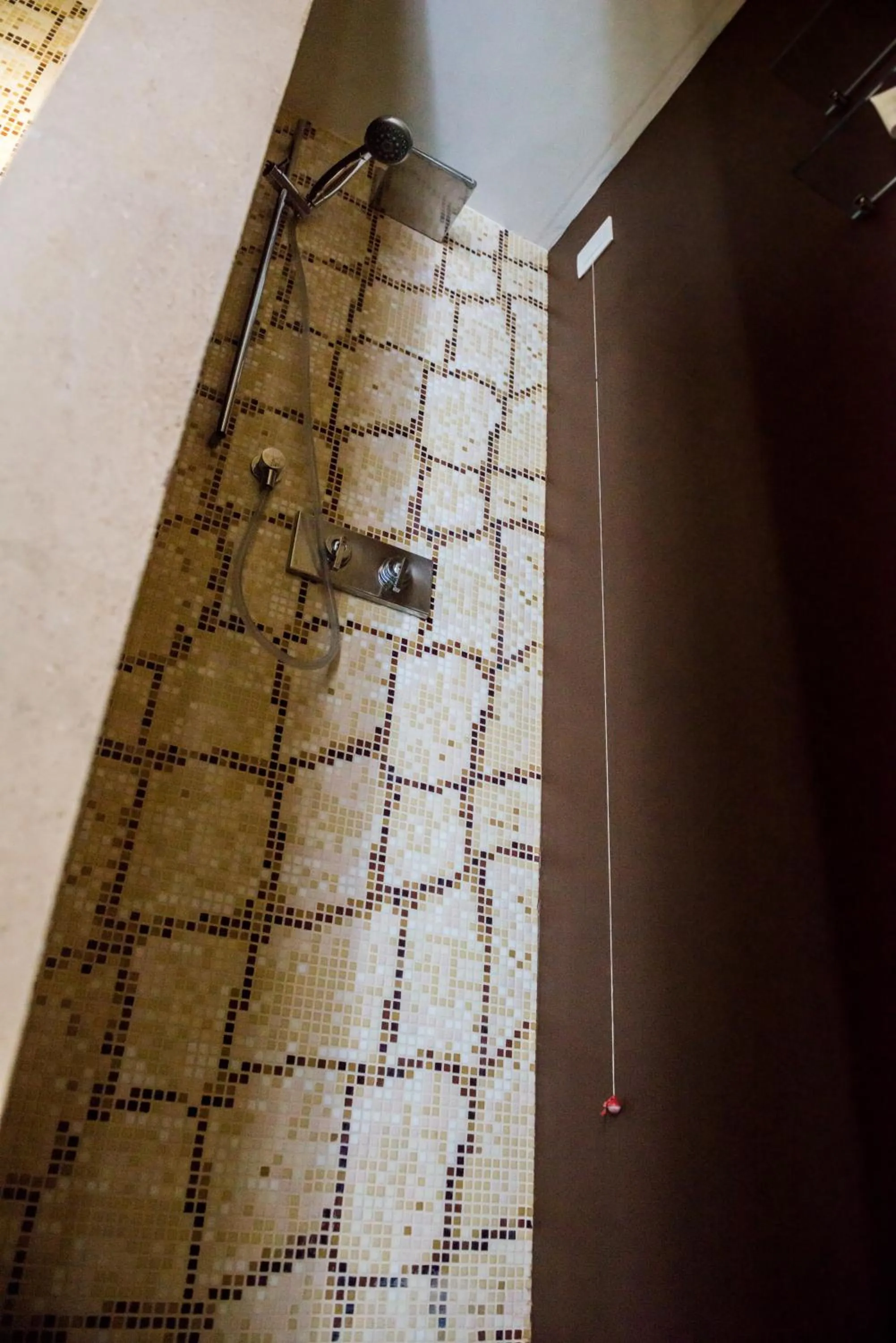 Shower in Albergo Del Sedile