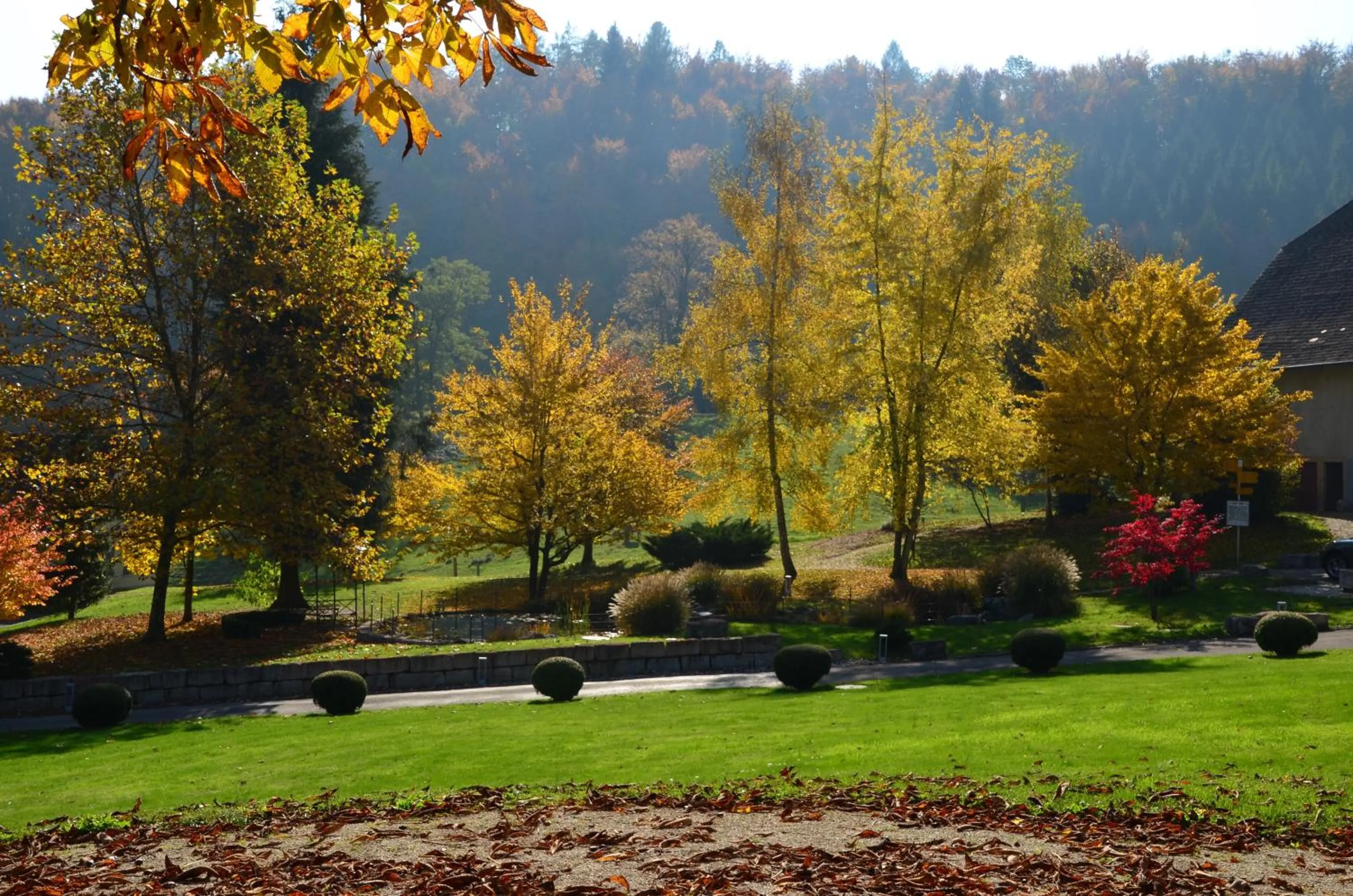 Natural landscape in Bad Schauenburg