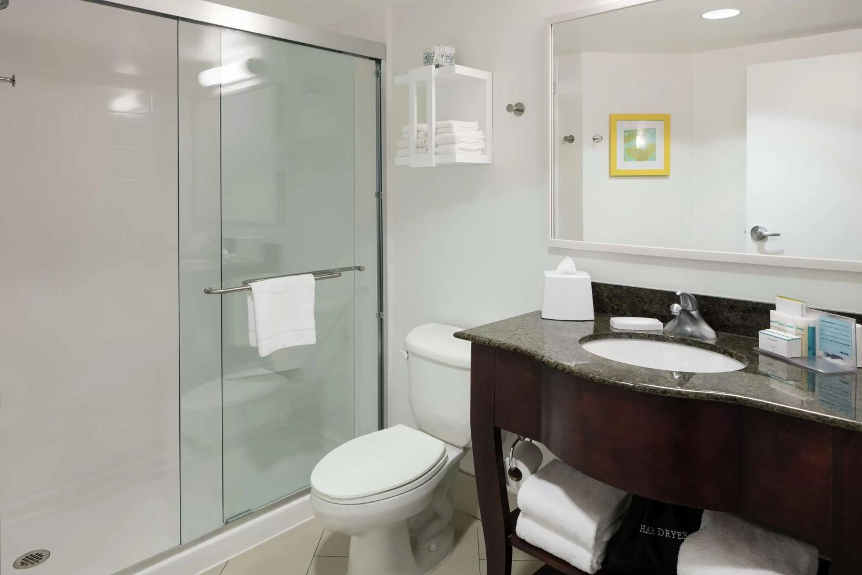 Bathroom in Hampton Inn & Suites Memphis-Beale Street