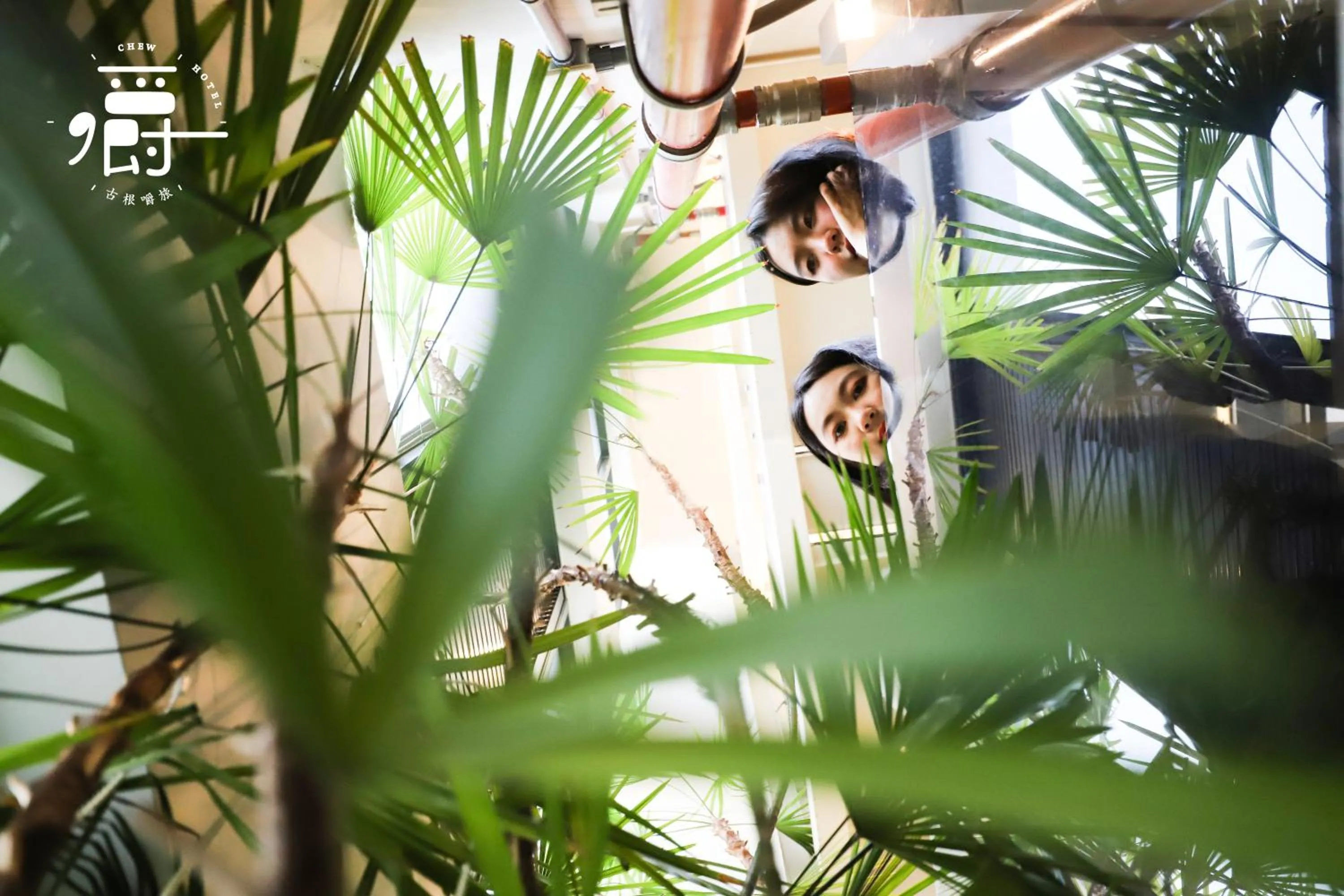 Decorative detail in Roots Chew Hotel