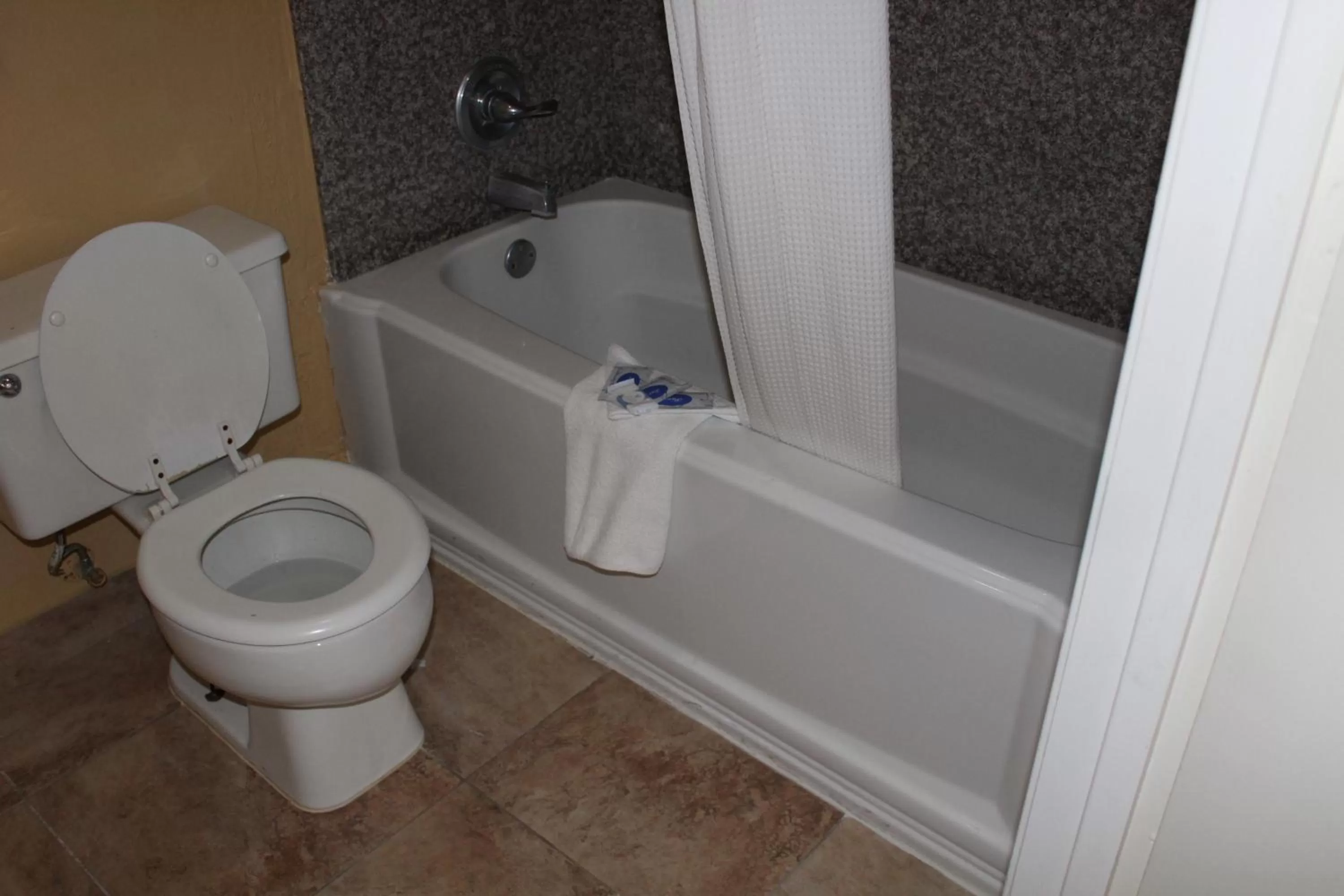 King Room - single occupancy in The Executive Inn & Suites