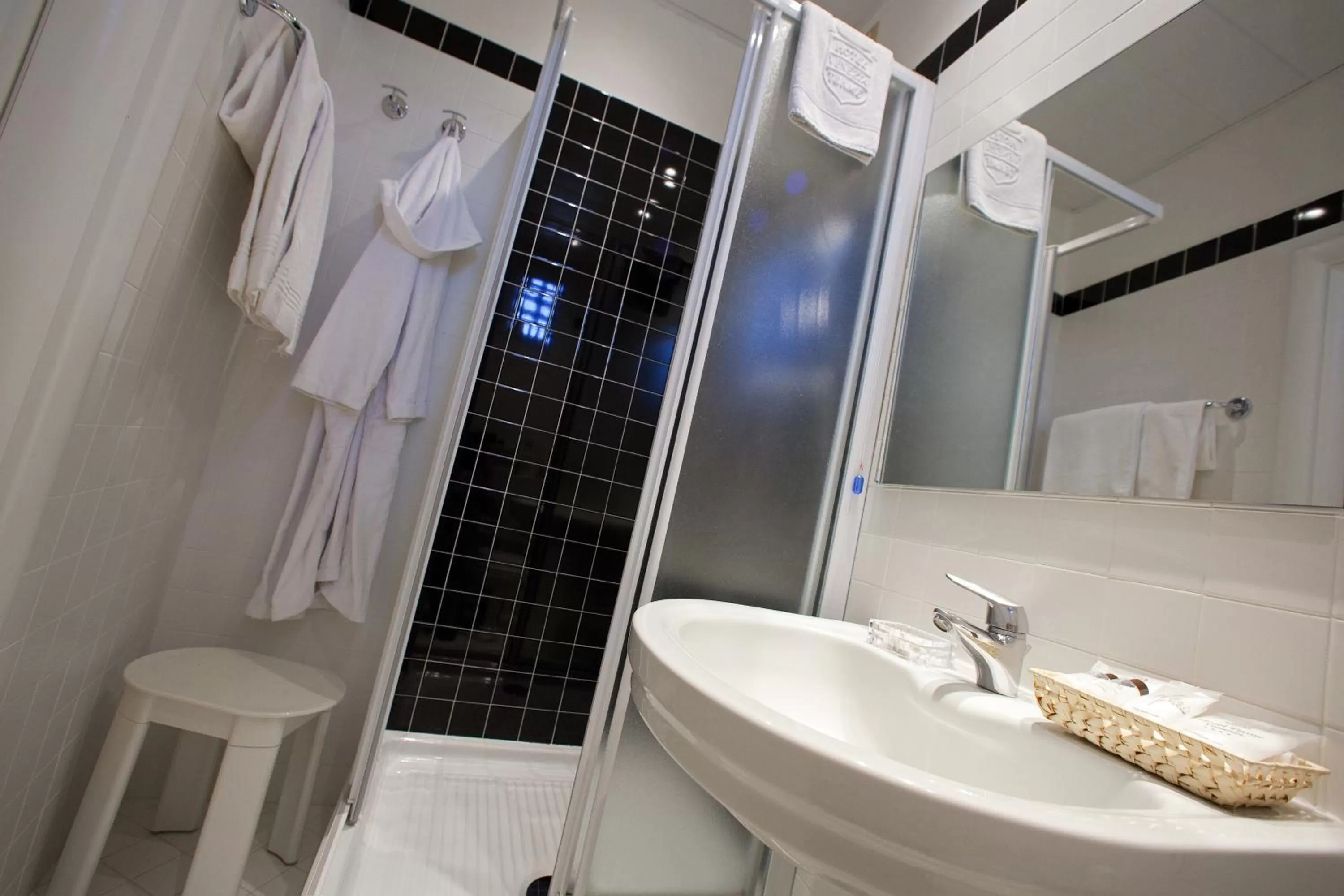 Toilet in Hotel Terme Venezia