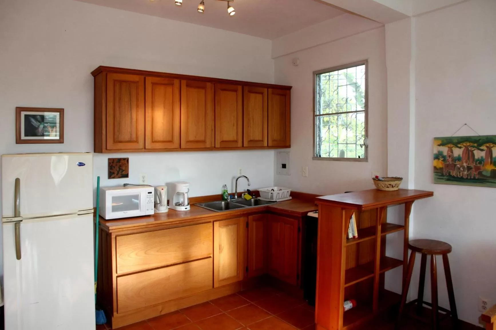Kitchen or kitchenette, Kitchen/Kitchenette in BlueBelize B&B