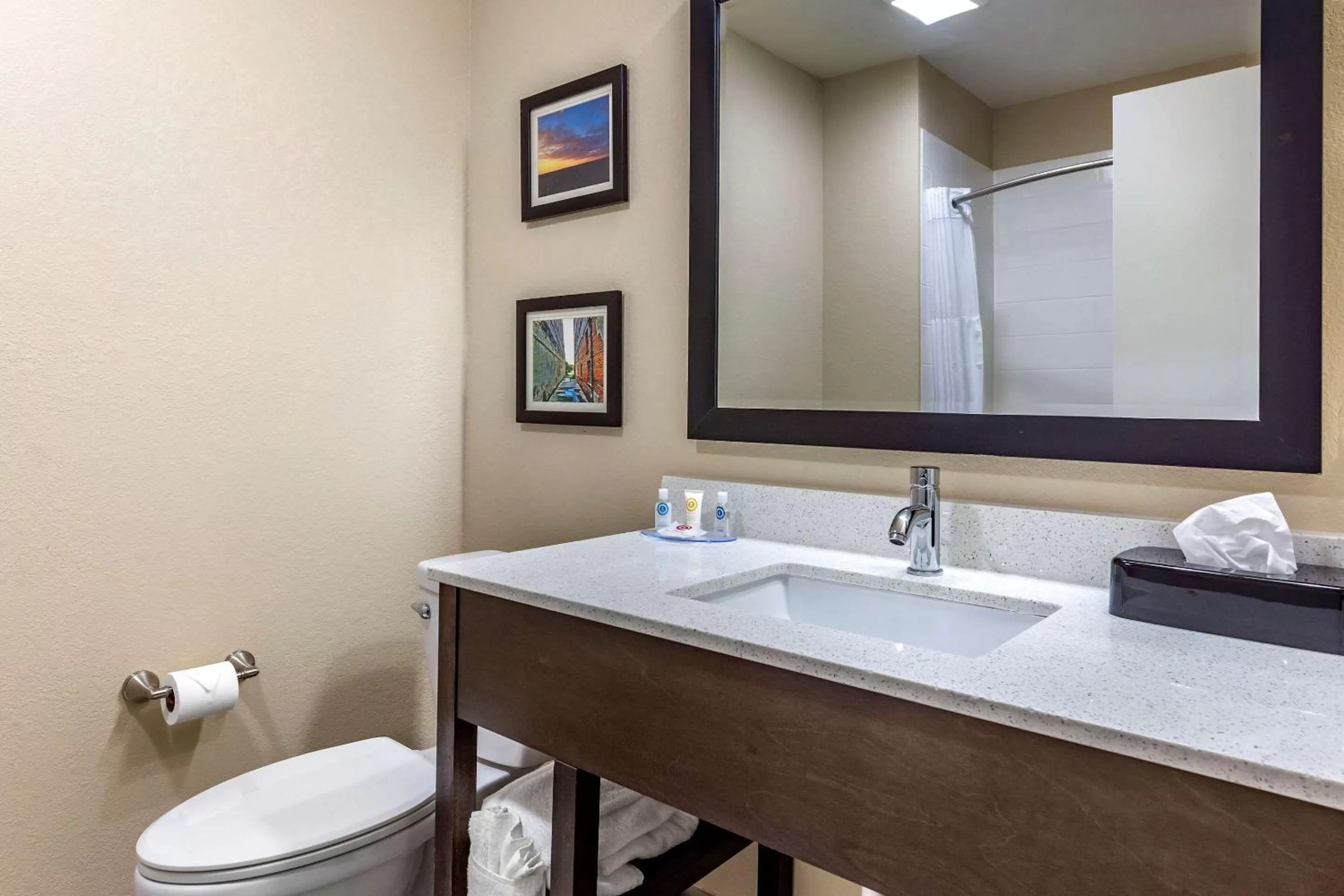 Bathroom in Comfort Inn & Suites Spring Lake - Fayetteville near Fort Bragg