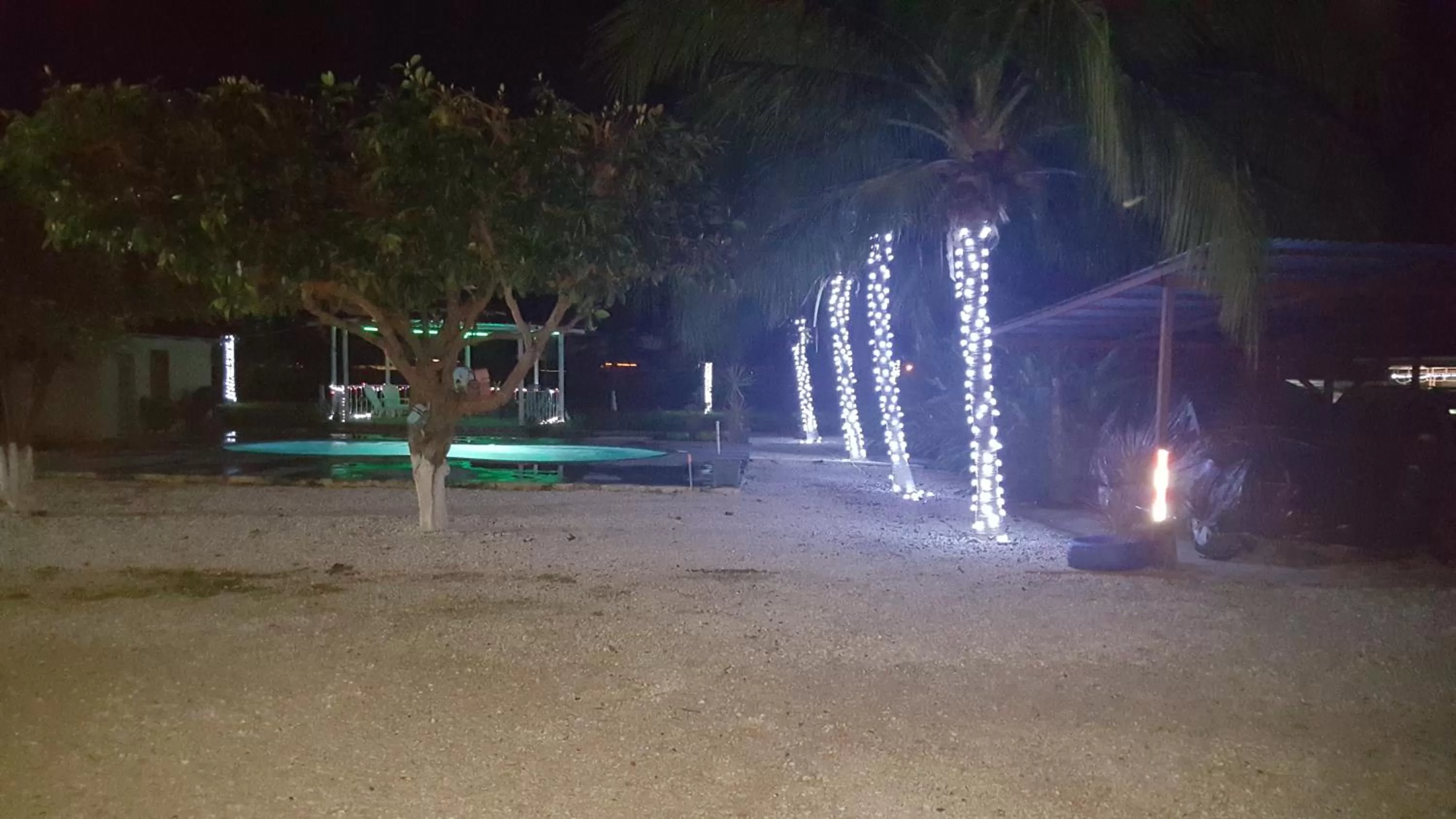 Swimming pool in Hotel La Arena