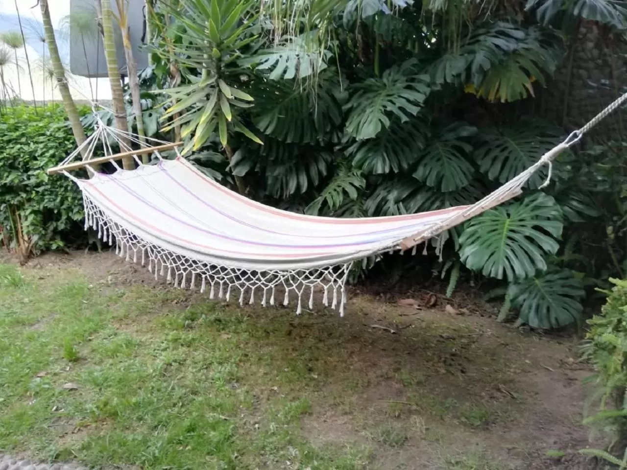 Garden in La Casa del Molino Blanco B&B