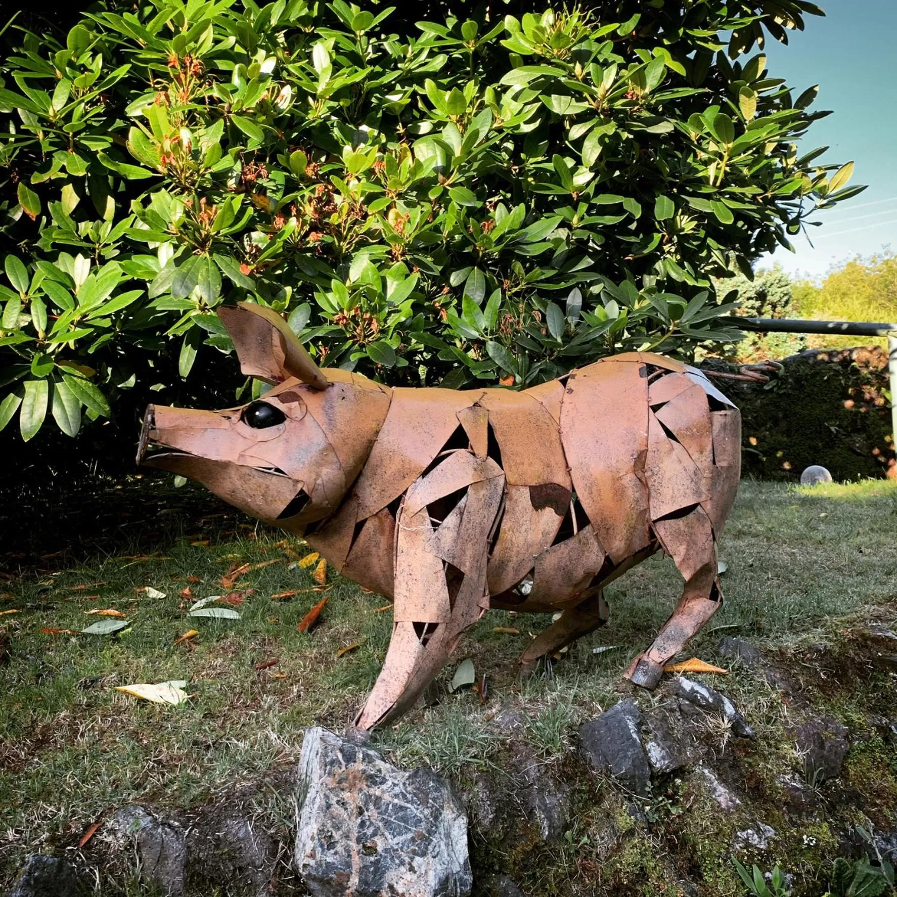 Animals in Boscundle Manor