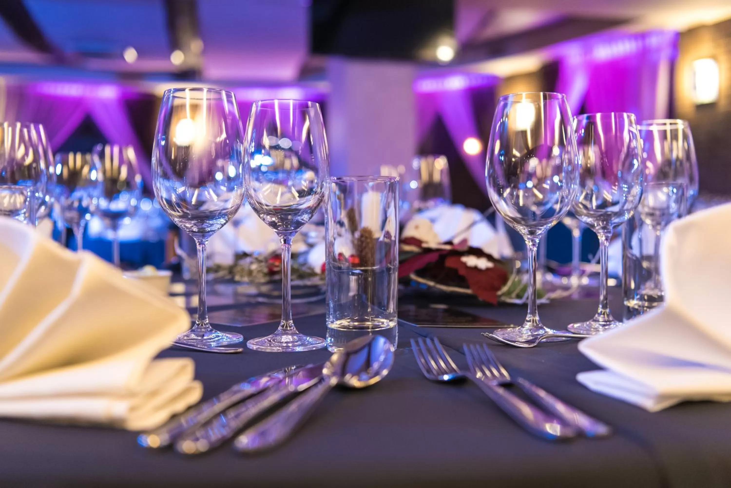 Banquet/Function facilities in Hotel Tigra