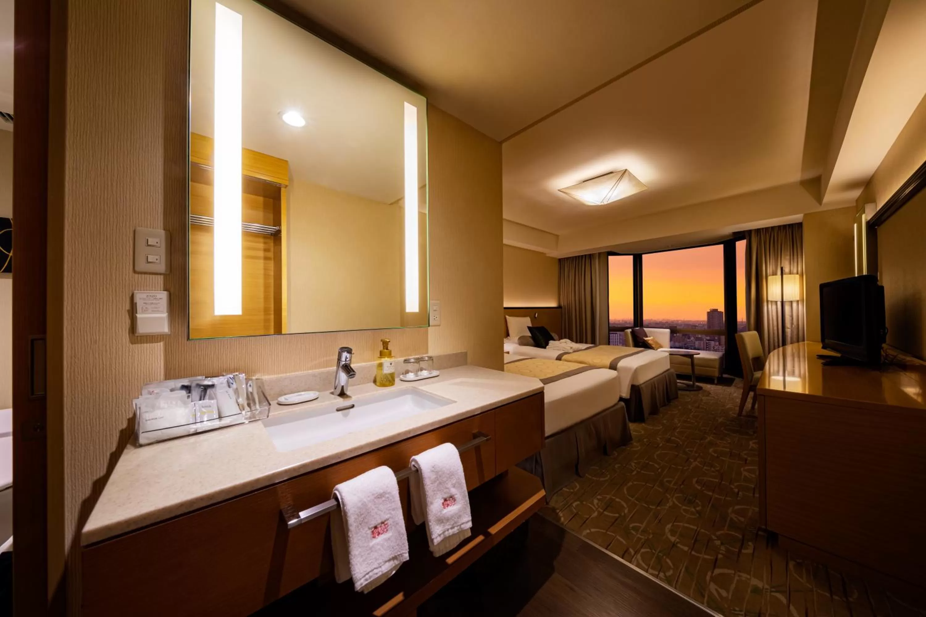 Executive Floor - Non-Smoking - Twin Room with City View in Asakusa View Hotel