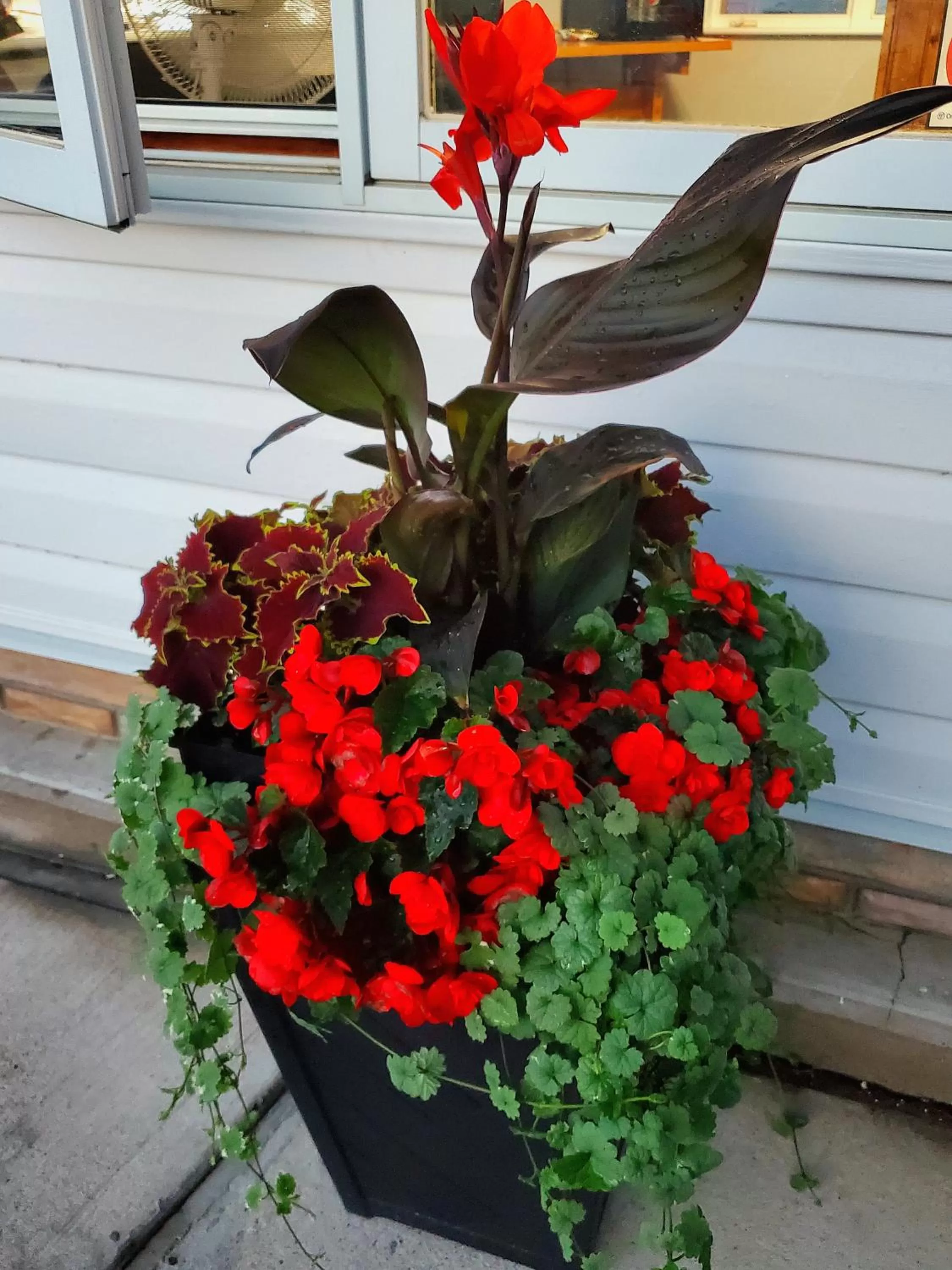 Garden in Knights Inn Colonial Fireside Inn