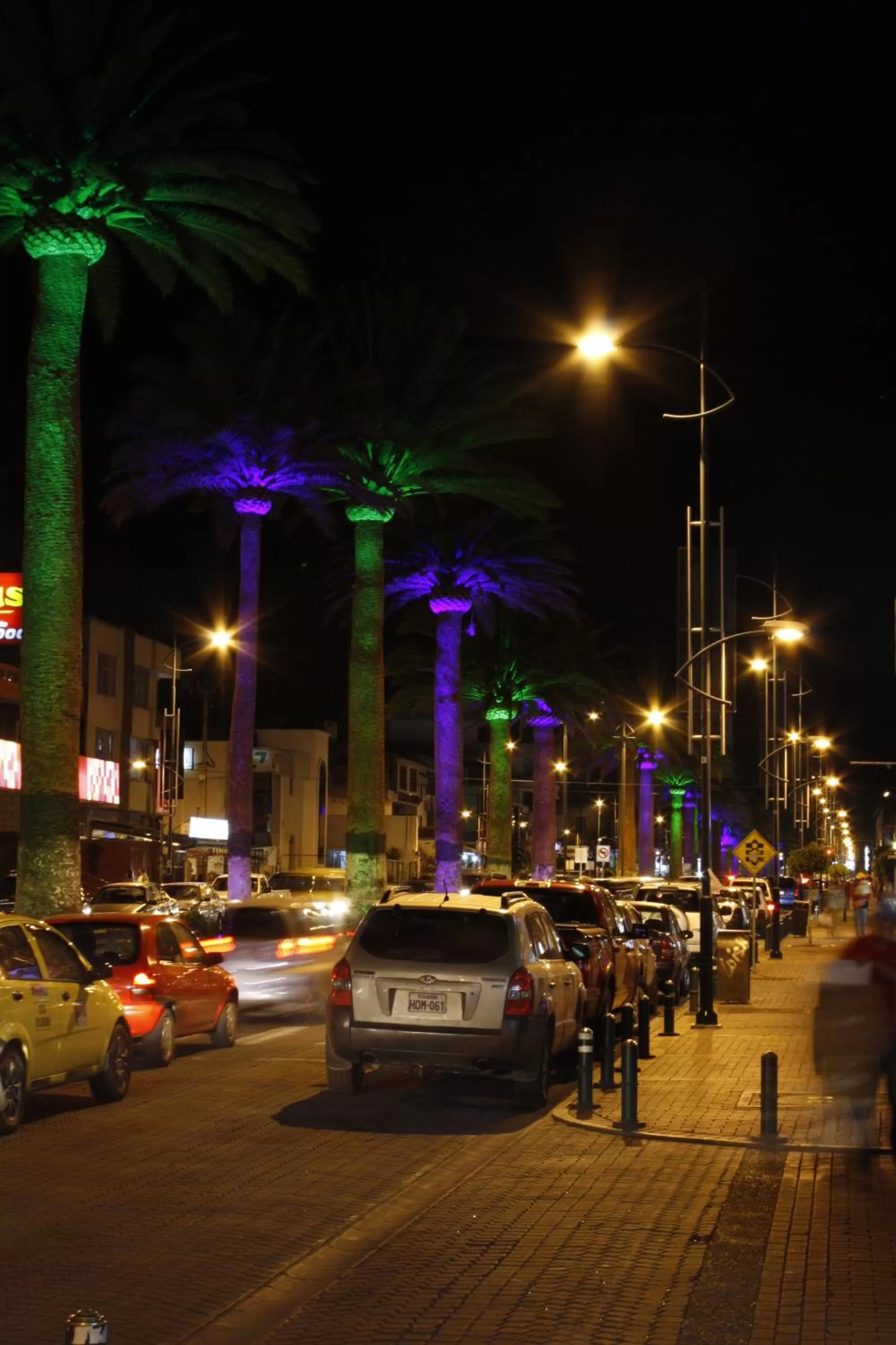 Landmark view in Hotel Shalom