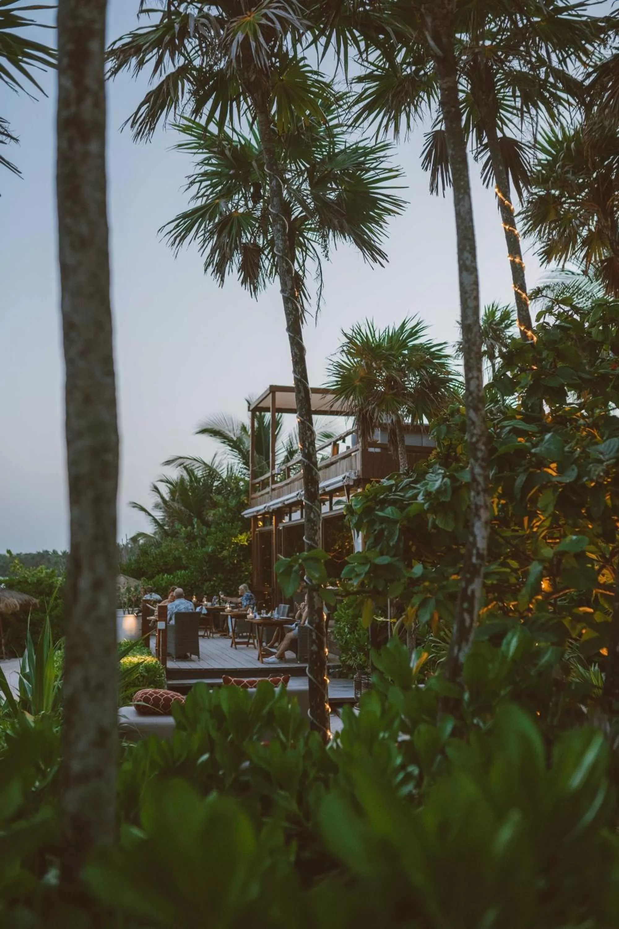 Restaurant/places to eat in Jashita Hotel