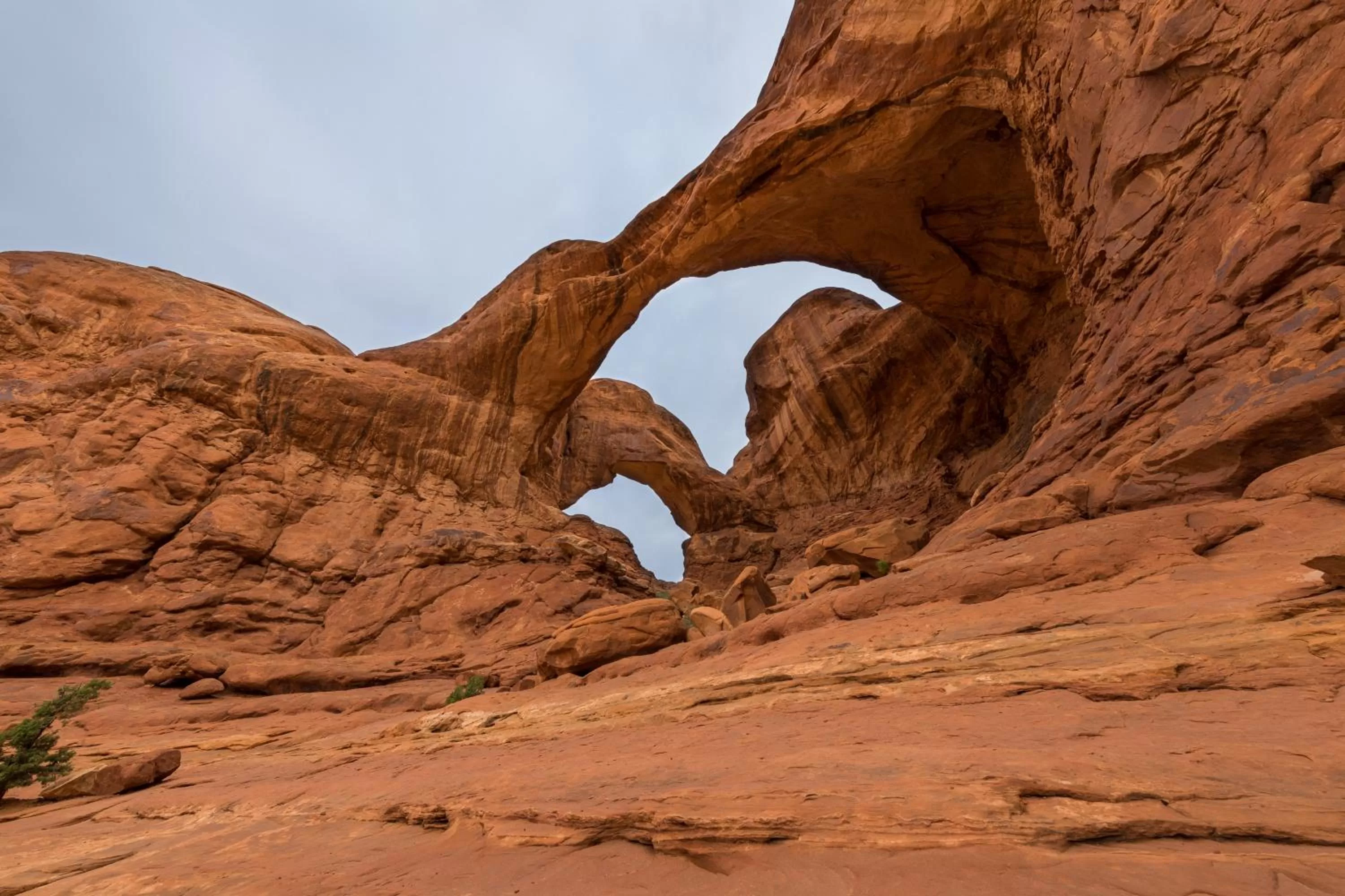 Natural Landscape in Sunny Acres Cabin