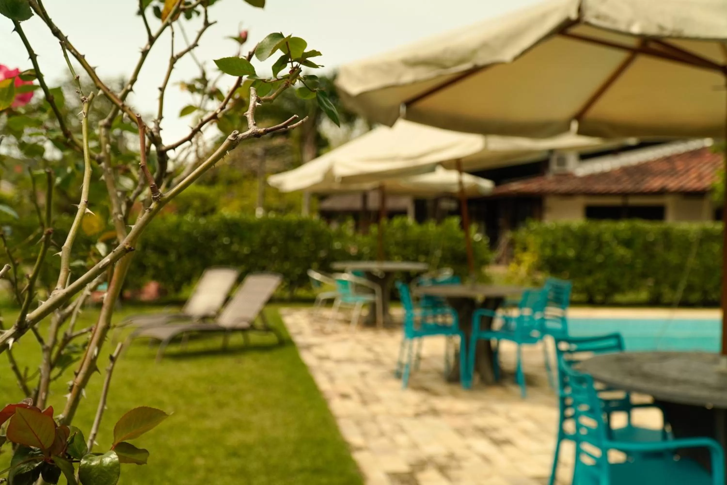 Garden, Swimming Pool in Pousada Dunasol Floripa