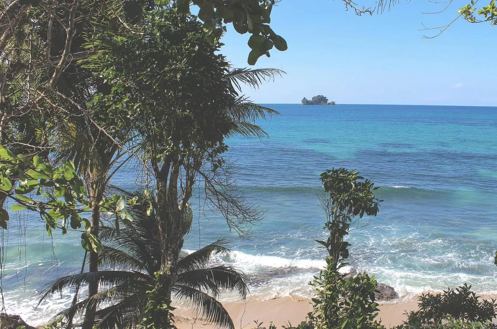 Sea view, Beach in Bird Island Bungalows