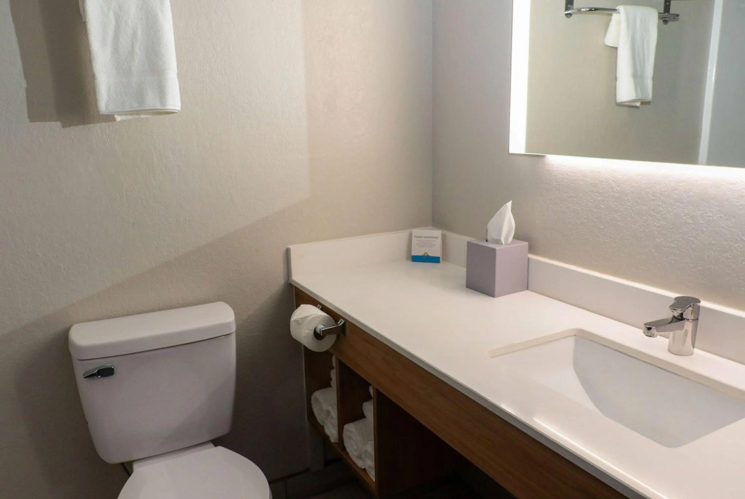 TV and multimedia in Days Inn by Wyndham Farmville