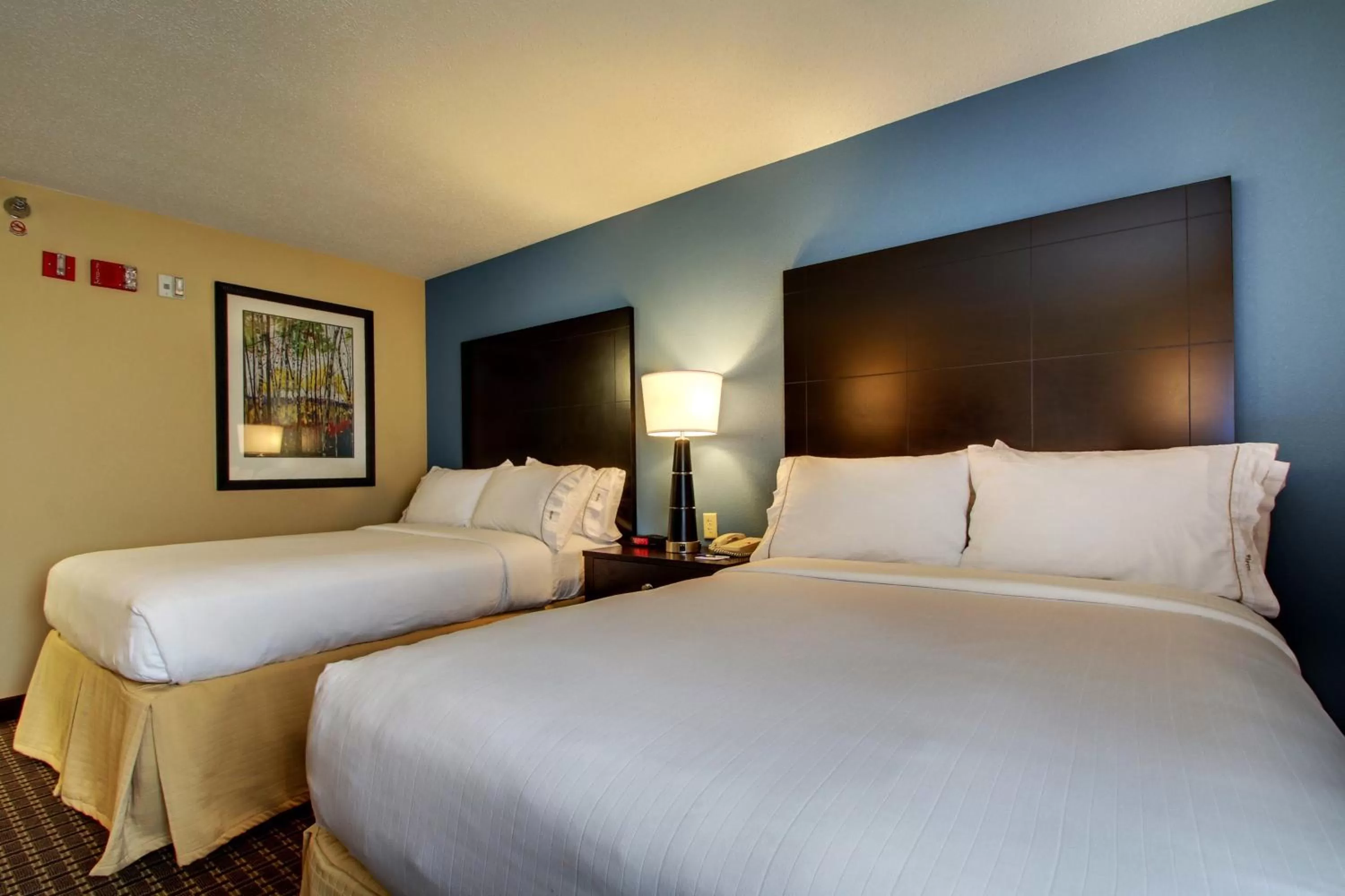 Photo of the whole room, Bed in Holiday Inn Express Hotel Fort Campbell-Oak Grove by IHG