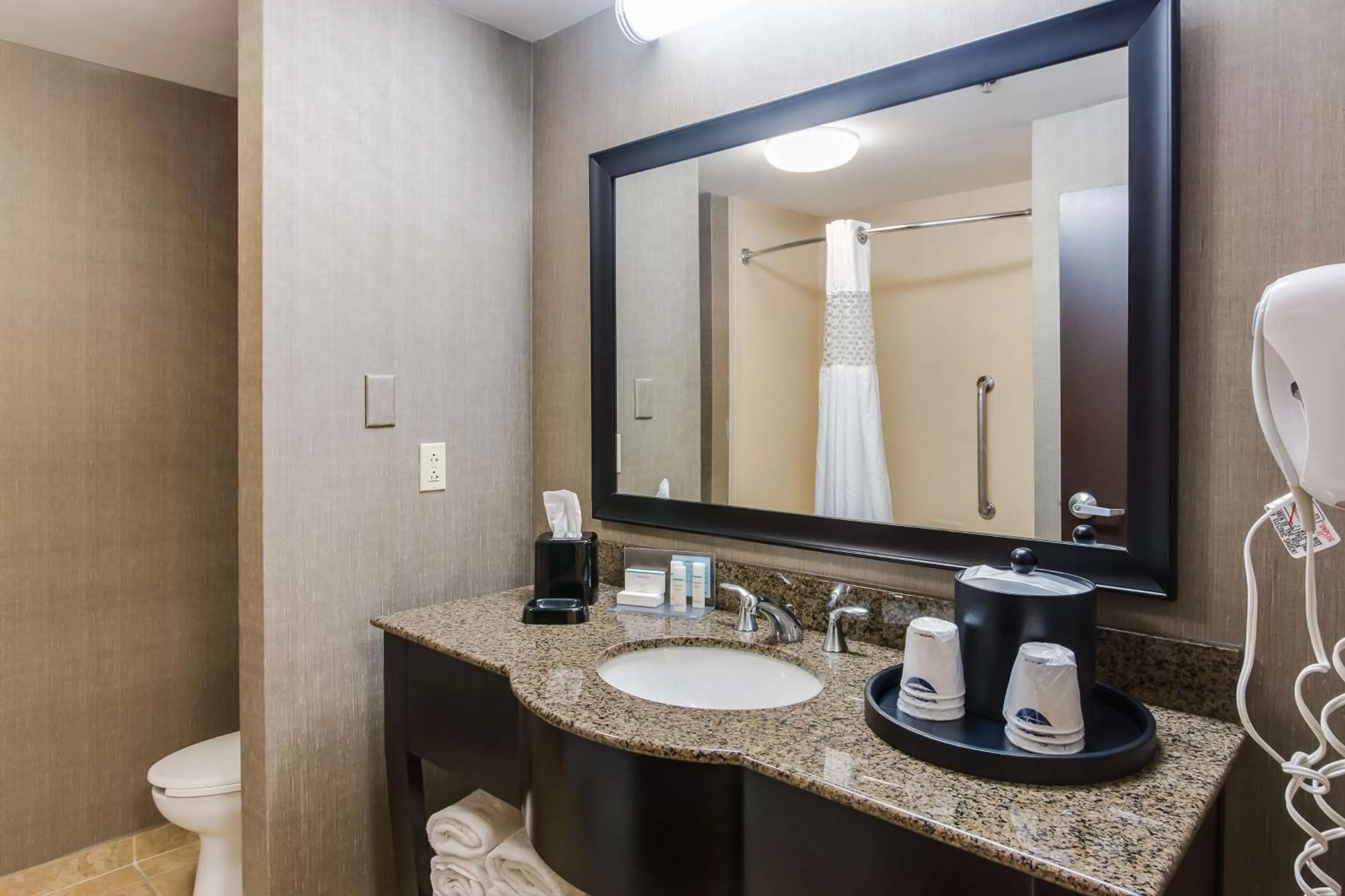 Bathroom in Hampton Inn & Suites Mount Juliet