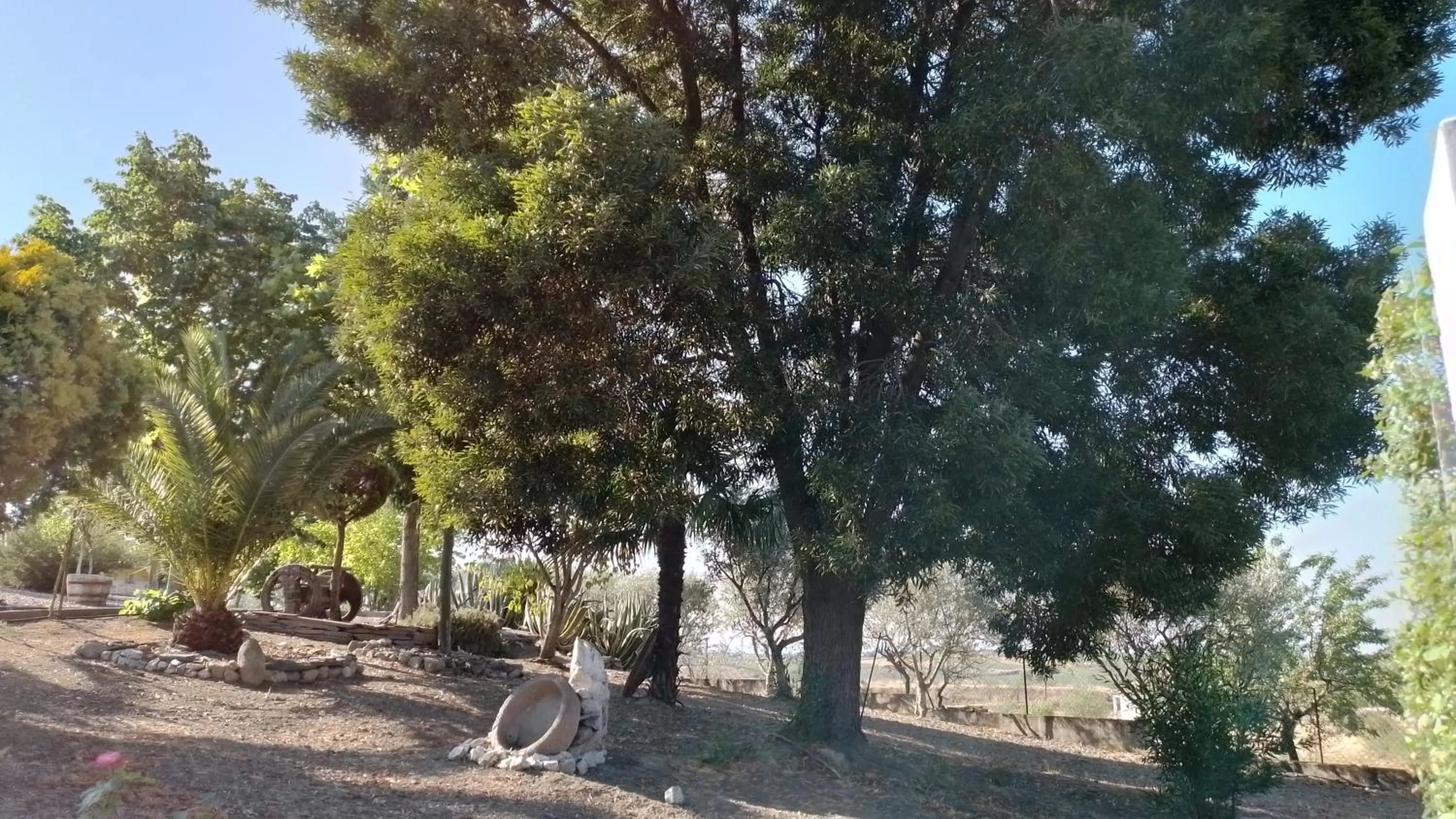 Garden view in A Flor da Rosa