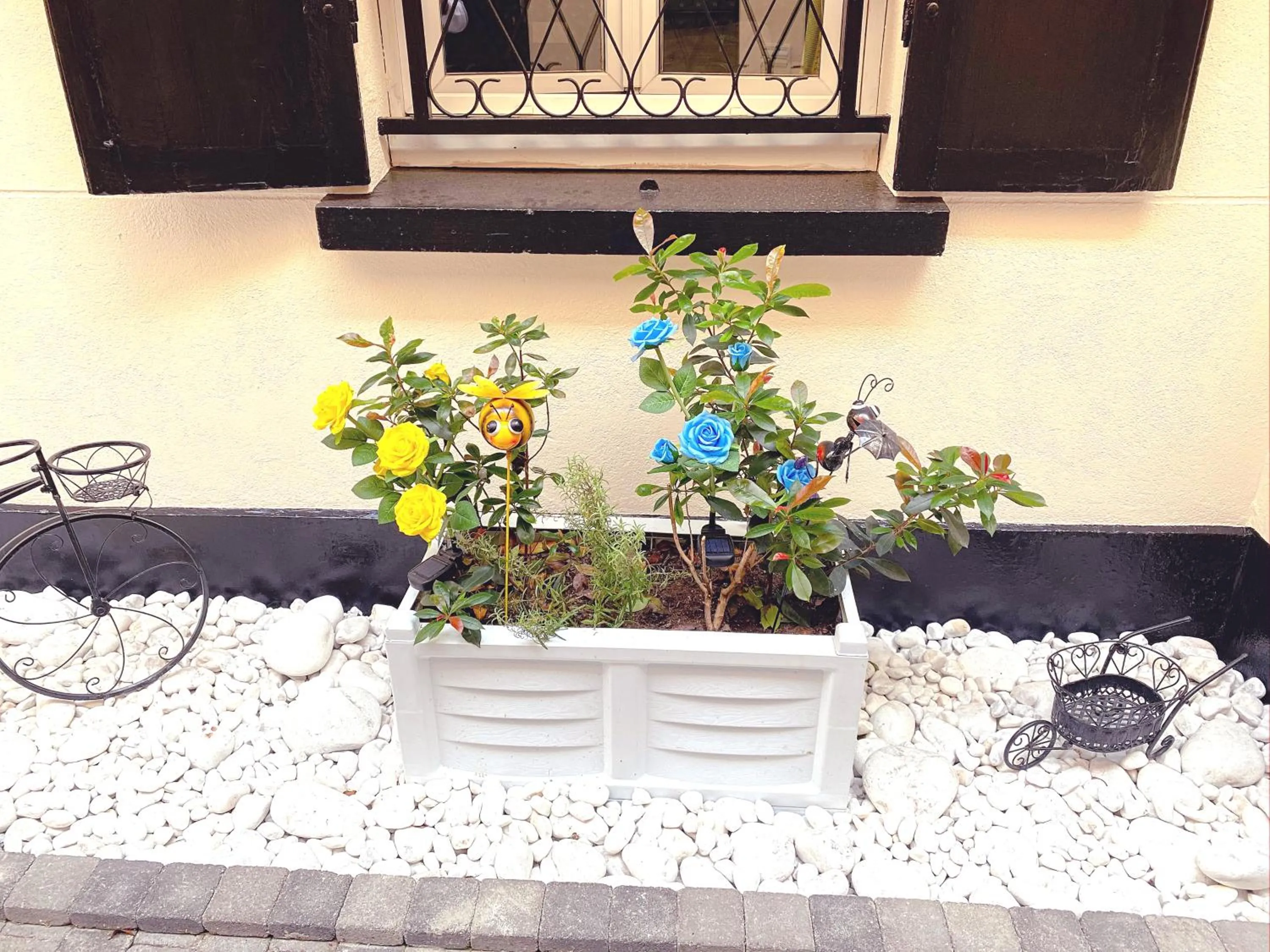 Other in Hotel Aviatic