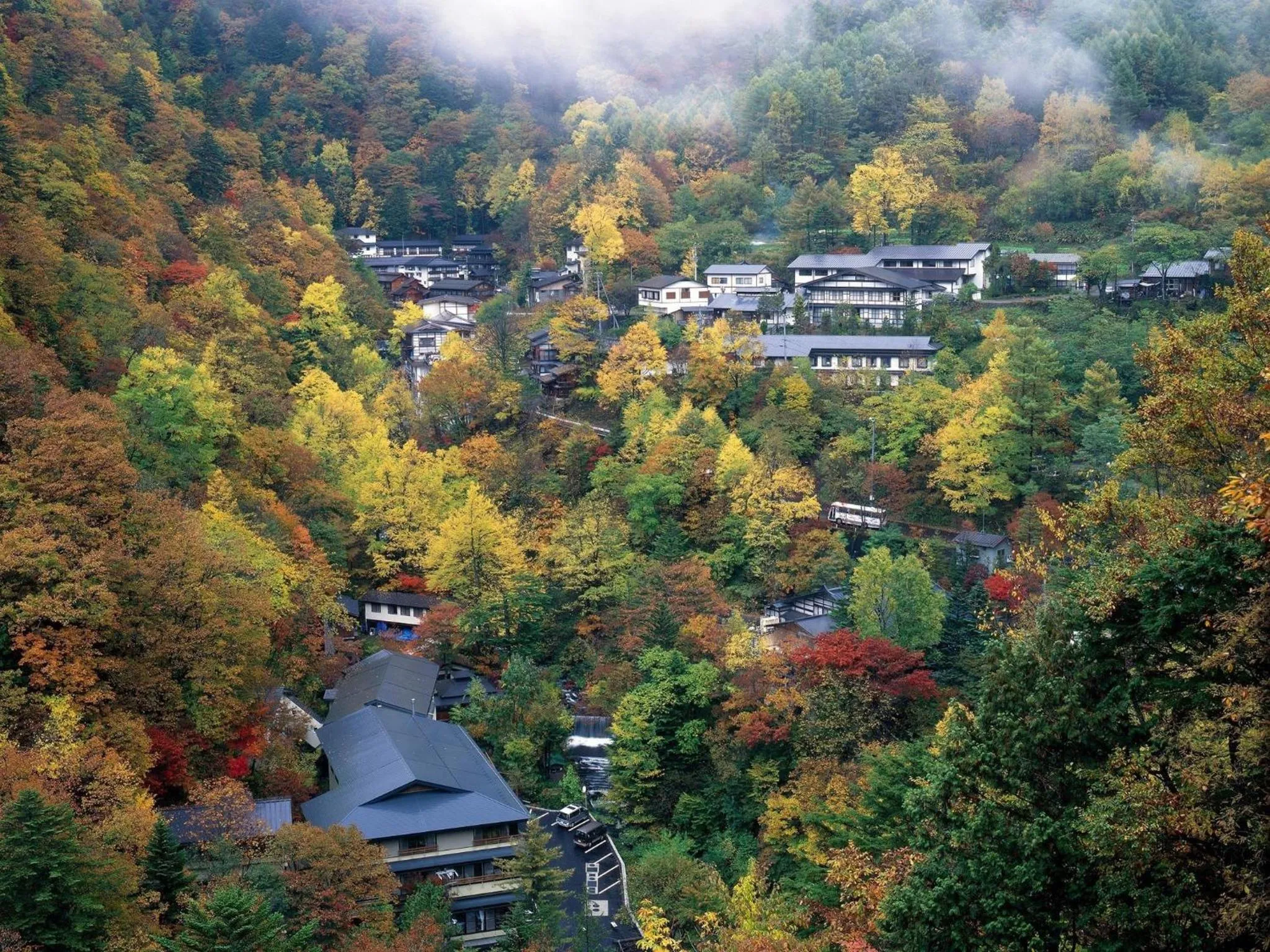 Area and facilities in Hotel Buena Vista