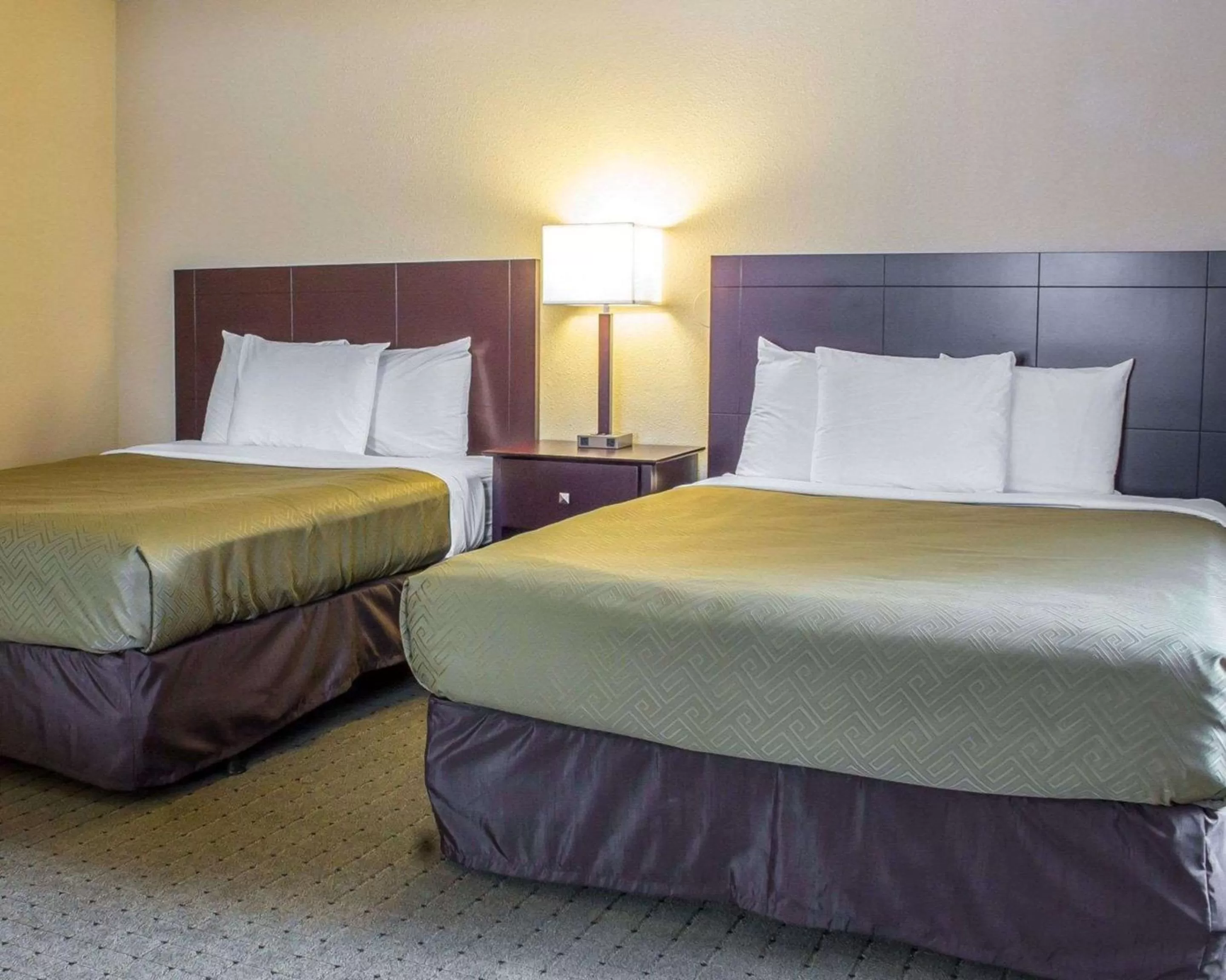 Photo of the whole room, Bed in Econo Lodge