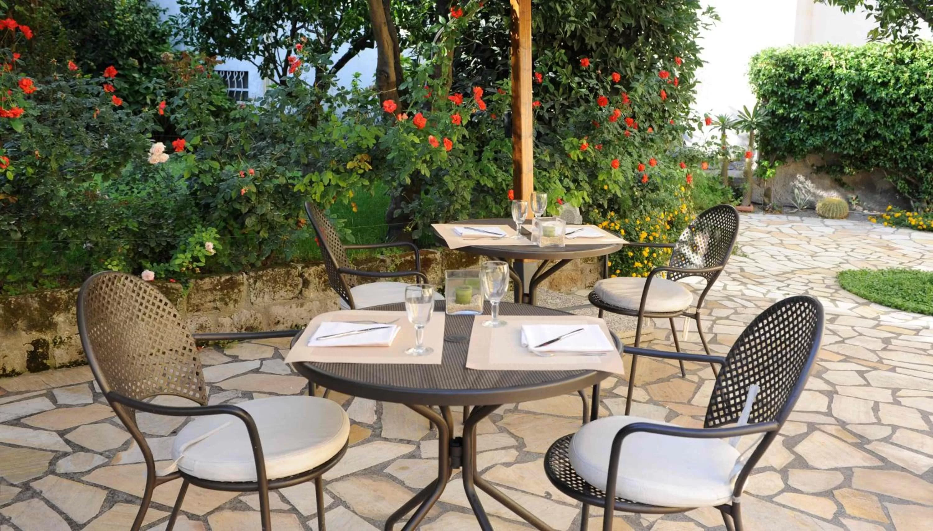 Restaurant/places to eat in Hotel Tourist