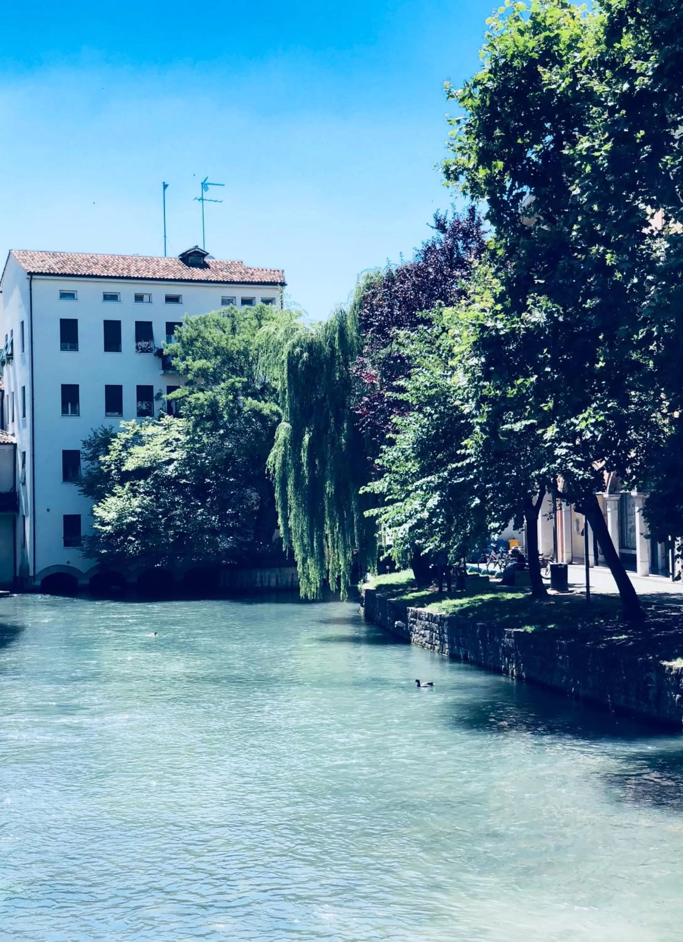 Nearby landmark in Palazzina300